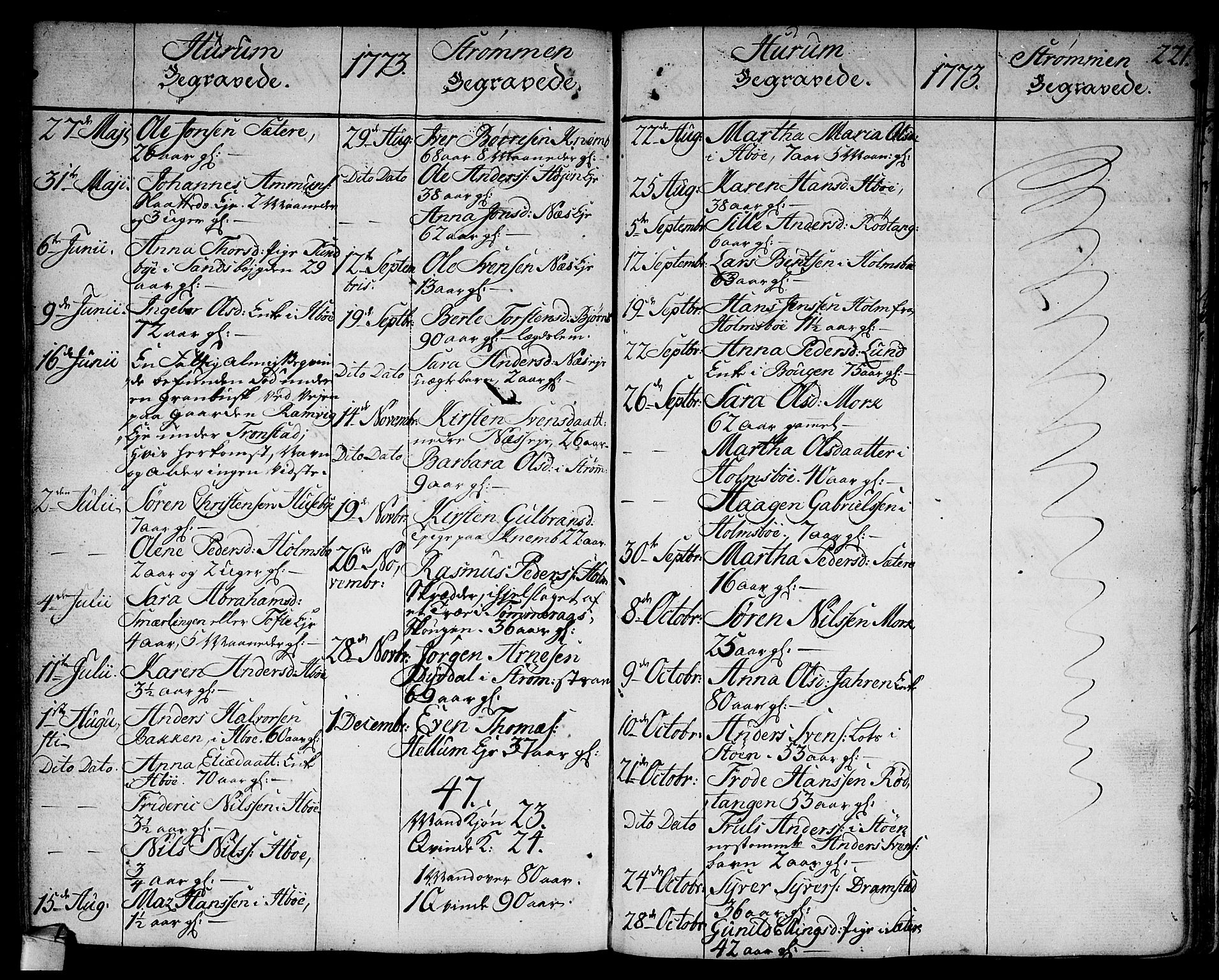 Hurum kirkebøker, AV/SAKO-A-229/F/Fa/L0007: Parish register (official) no. 7, 1771-1810, p. 221