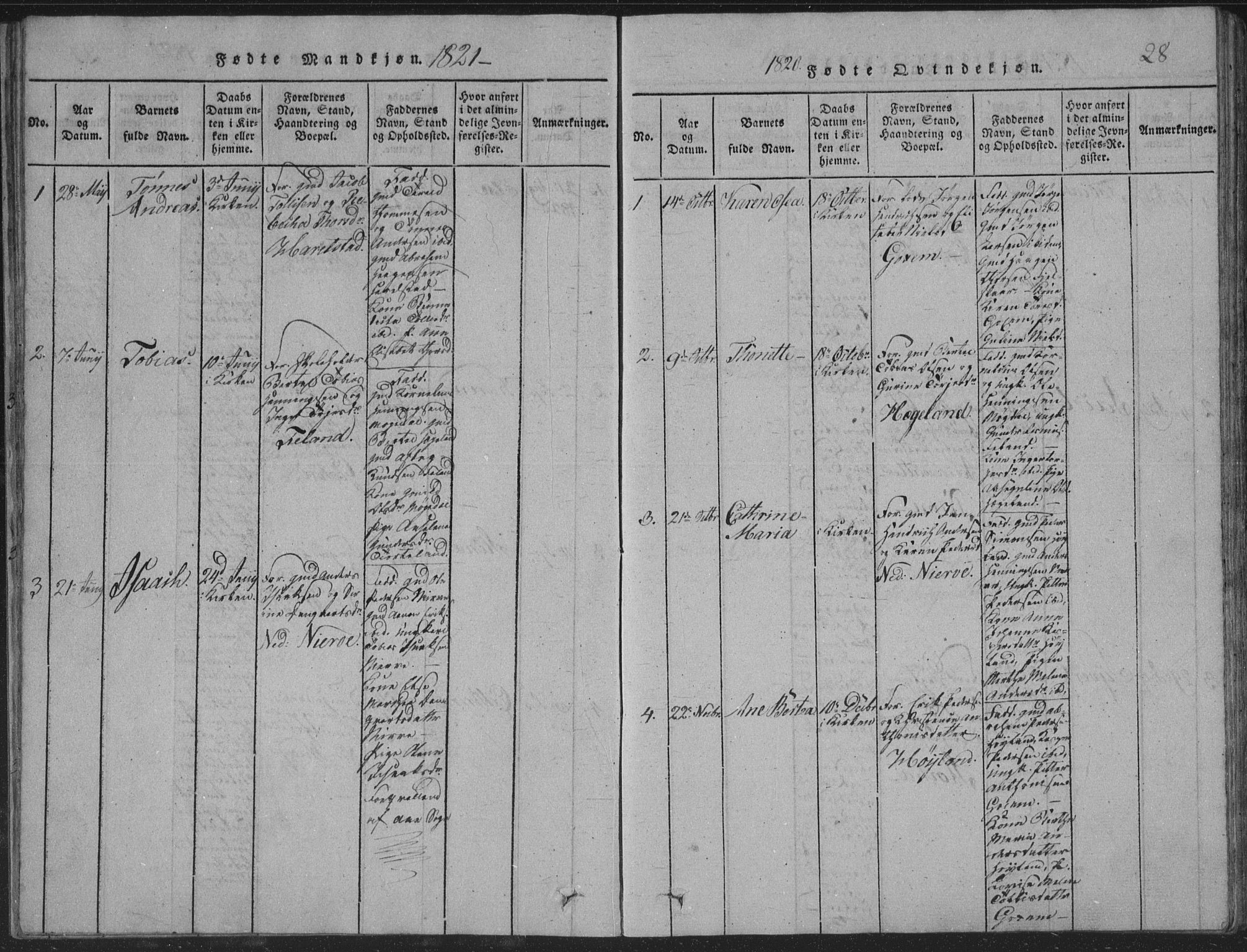 Sør-Audnedal sokneprestkontor, AV/SAK-1111-0039/F/Fb/Fba/L0001: Parish register (copy) no. B 1, 1815-1850, p. 28