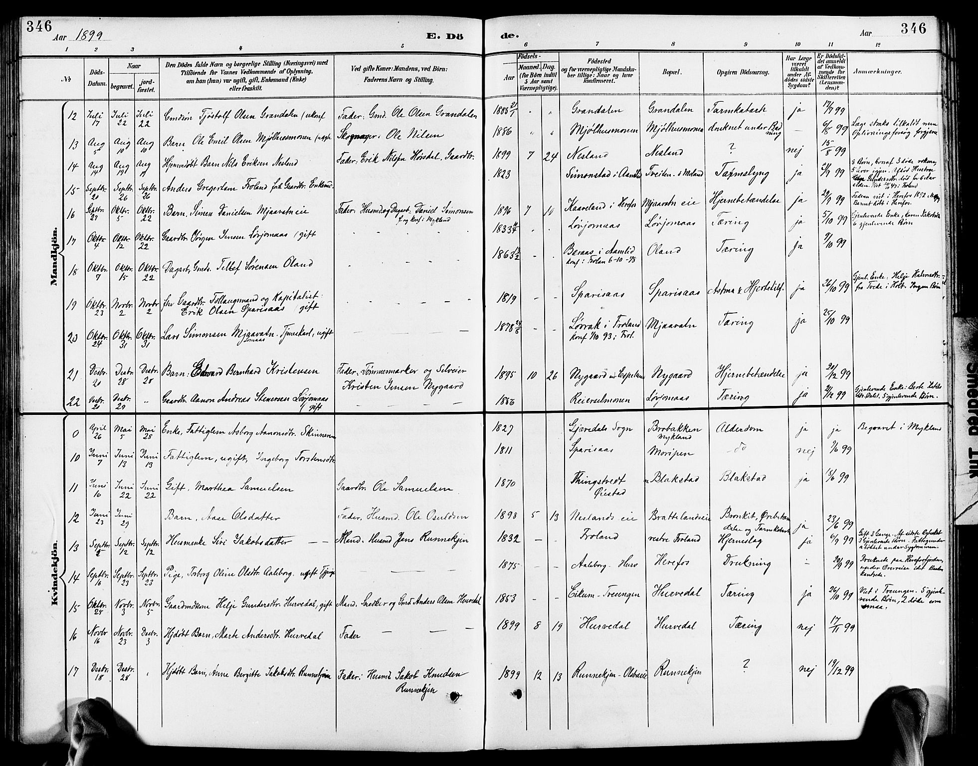 Froland sokneprestkontor, AV/SAK-1111-0013/F/Fb/L0010: Parish register (copy) no. B 10, 1893-1920, p. 346