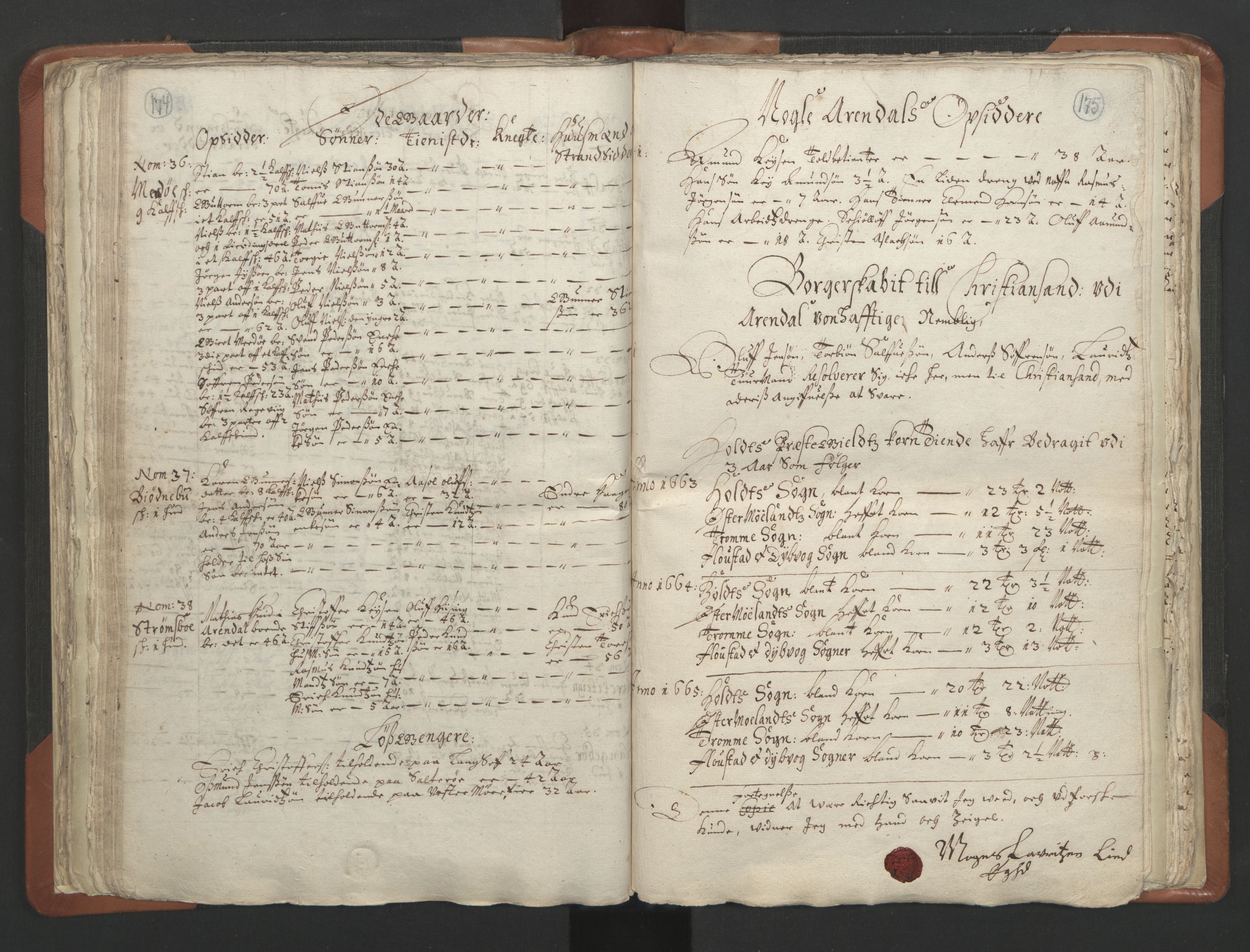 RA, Vicar's Census 1664-1666, no. 13: Nedenes deanery, 1664-1666, p. 174-175