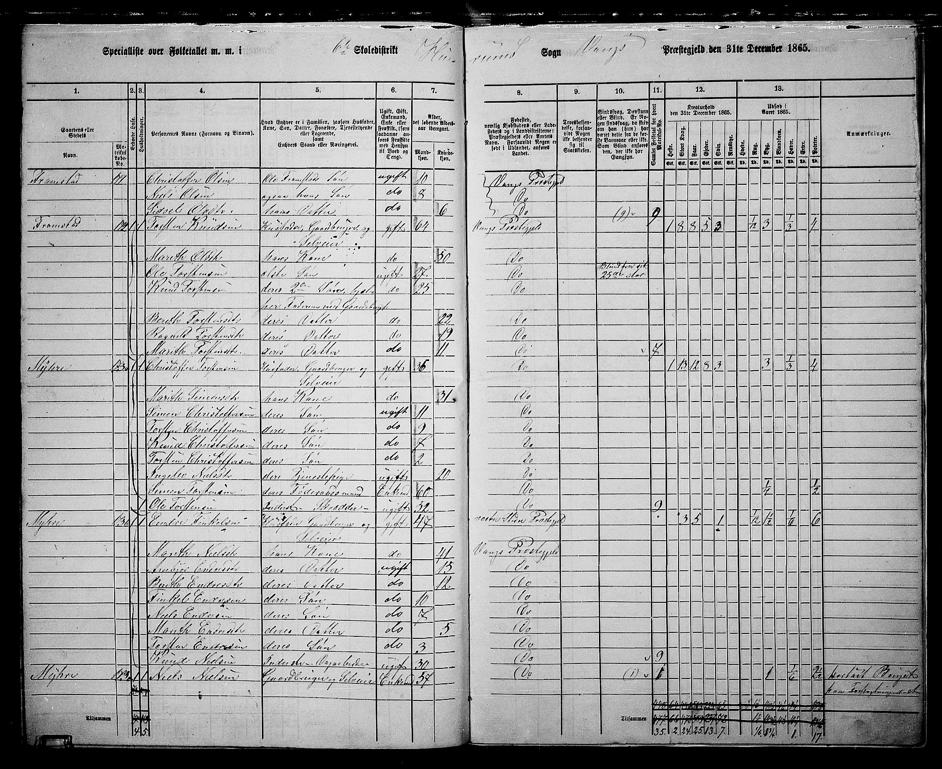 RA, 1865 census for Vang, 1865, p. 114