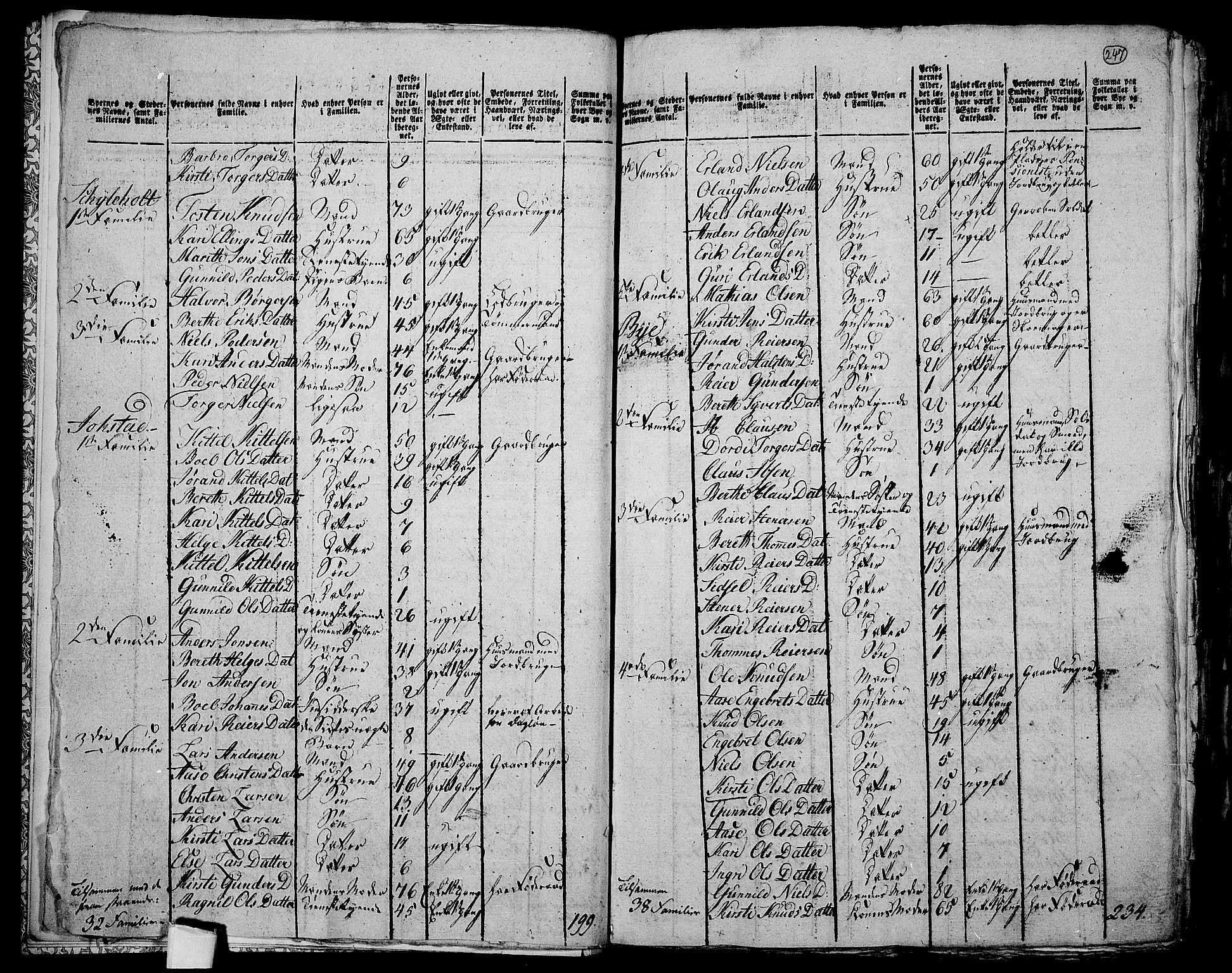 RA, 1801 census for 0621P Sigdal, 1801, p. 246b-247a