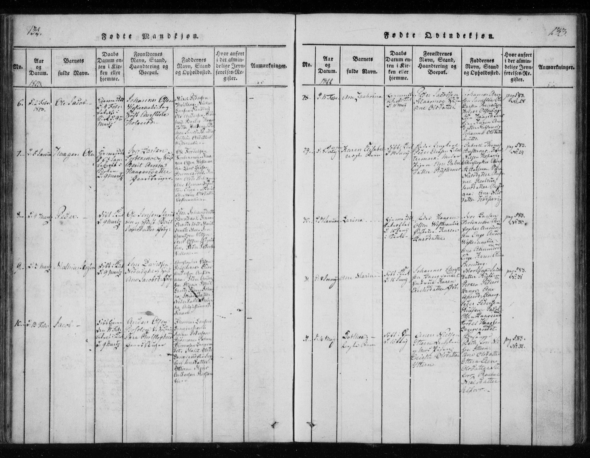 Ministerialprotokoller, klokkerbøker og fødselsregistre - Nordland, AV/SAT-A-1459/825/L0353: Parish register (official) no. 825A07, 1820-1826, p. 132-133