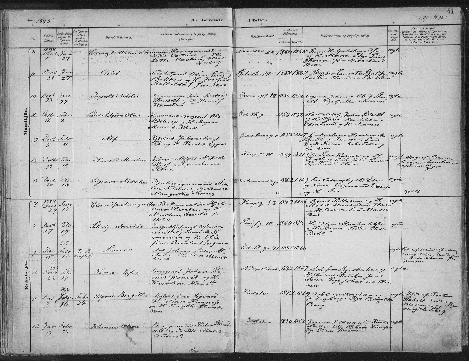 Ministerialprotokoller, klokkerbøker og fødselsregistre - Sør-Trøndelag, SAT/A-1456/601/L0062: Parish register (official) no. 601A30, 1891-1911, p. 41