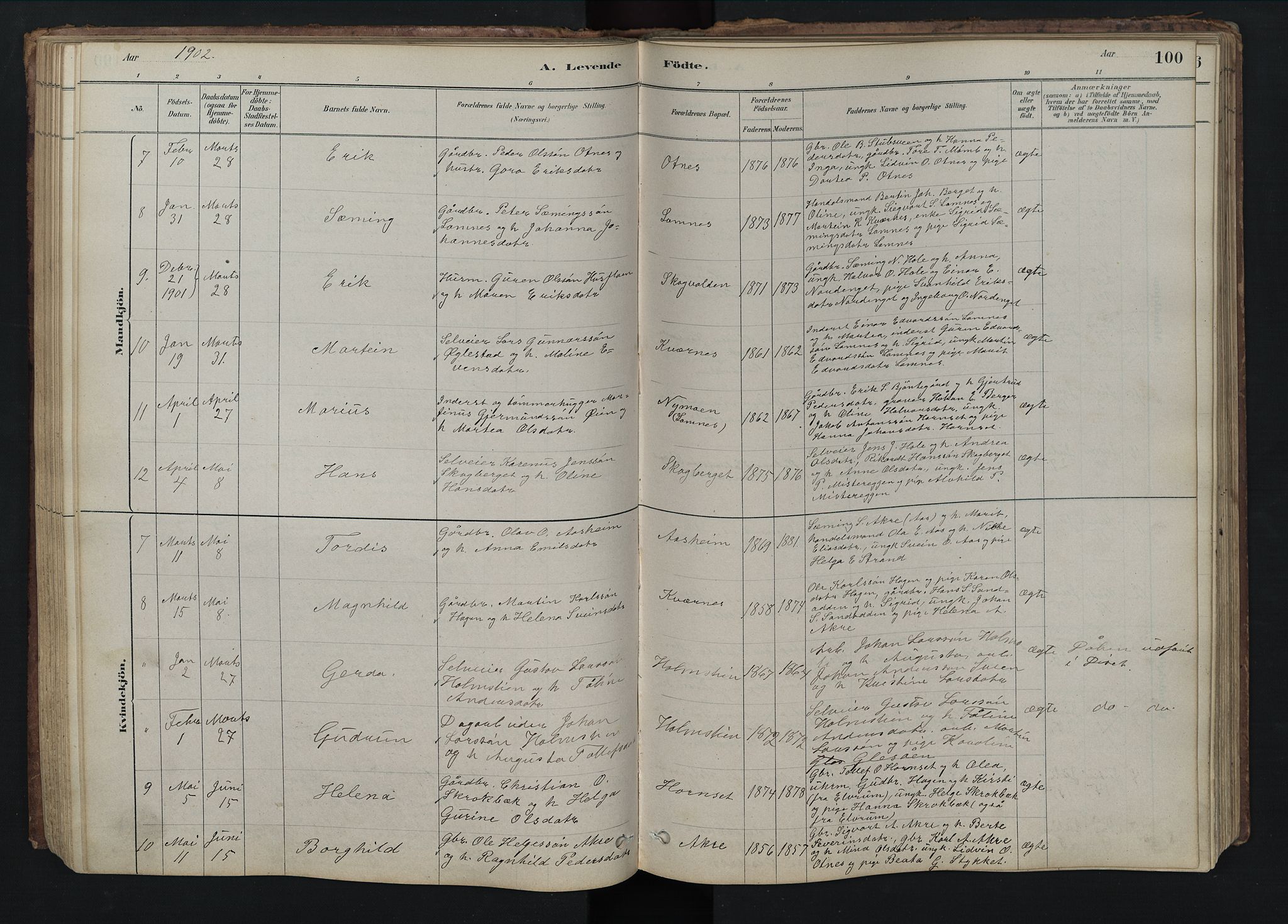 Rendalen prestekontor, SAH/PREST-054/H/Ha/Hab/L0009: Parish register (copy) no. 9, 1879-1902, p. 100