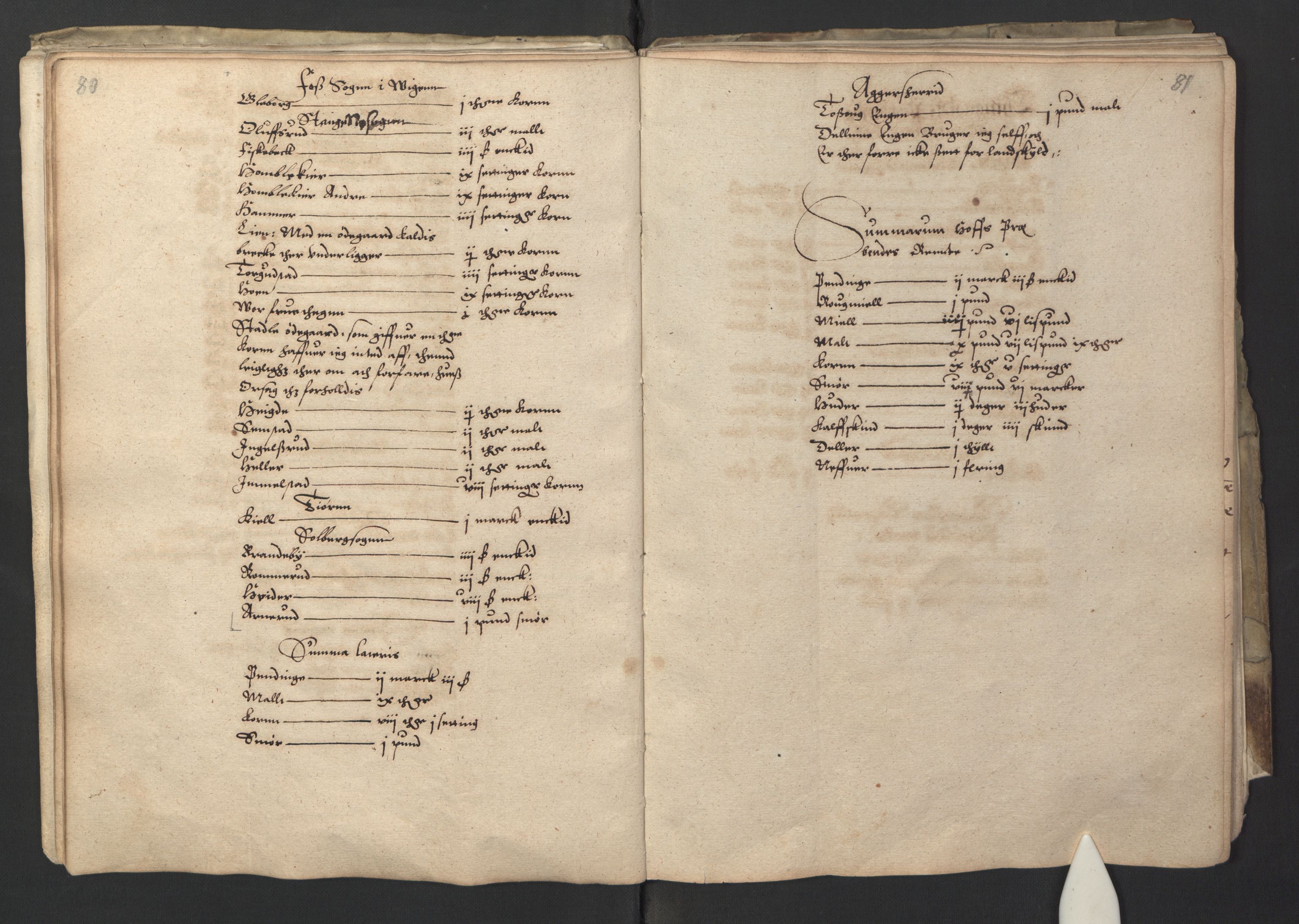 Stattholderembetet 1572-1771, AV/RA-EA-2870/Ek/L0001/0001: Jordebøker før 1624 og til utligning av garnisonsskatt 1624-1626: / Jordebok for Oslo kapitel, 1595, p. 46