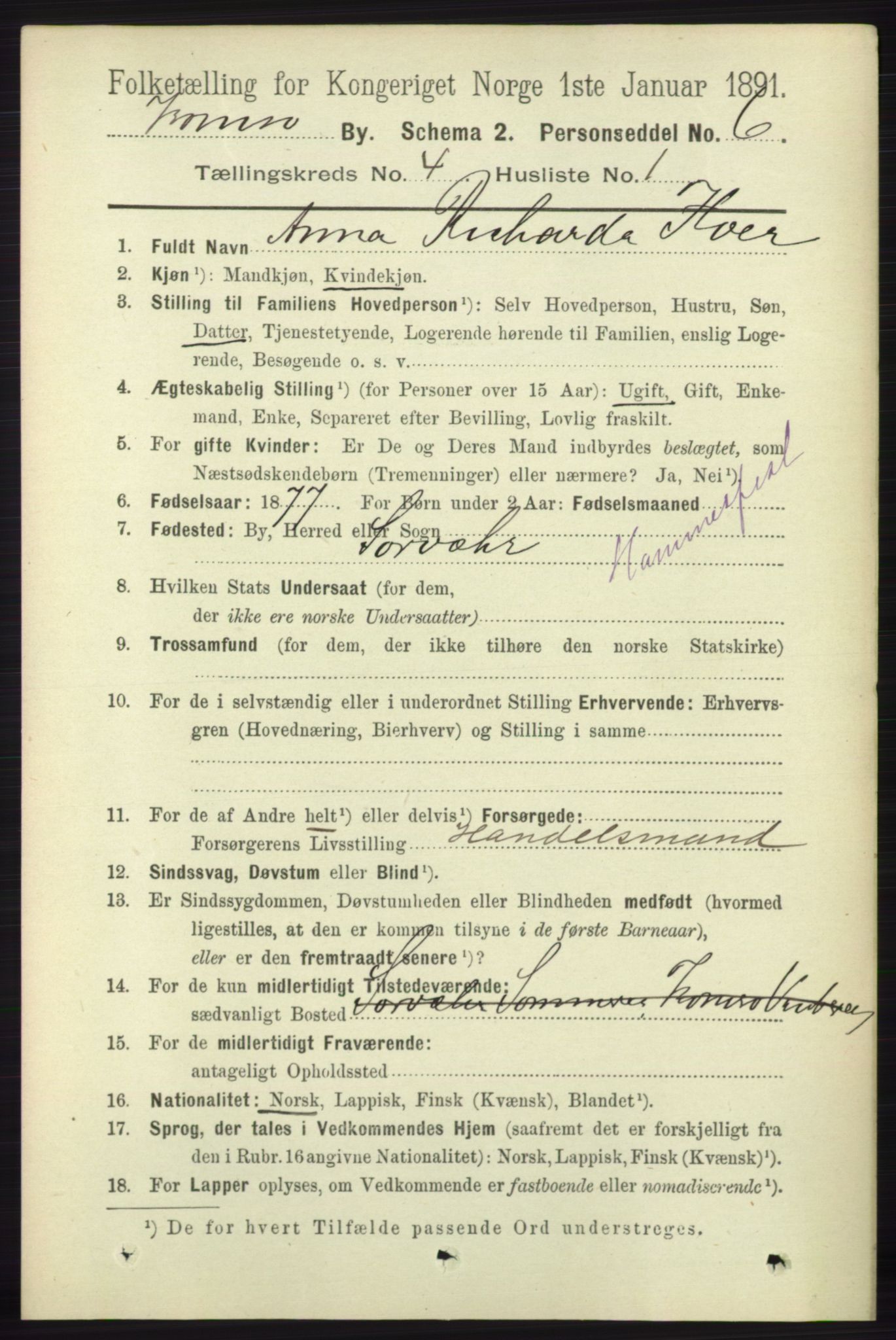 RA, 1891 census for 1902 Tromsø, 1891, p. 4091