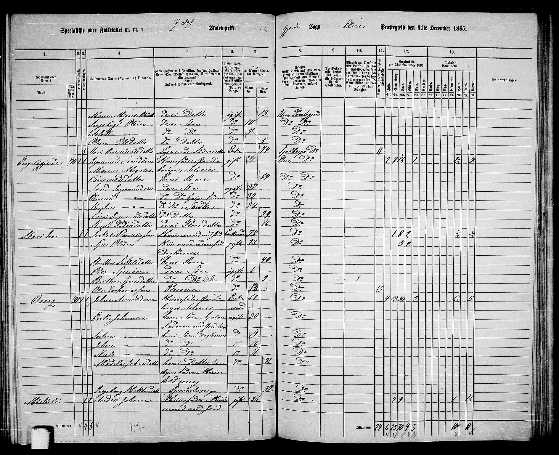 RA, 1865 census for Etne, 1865, p. 139