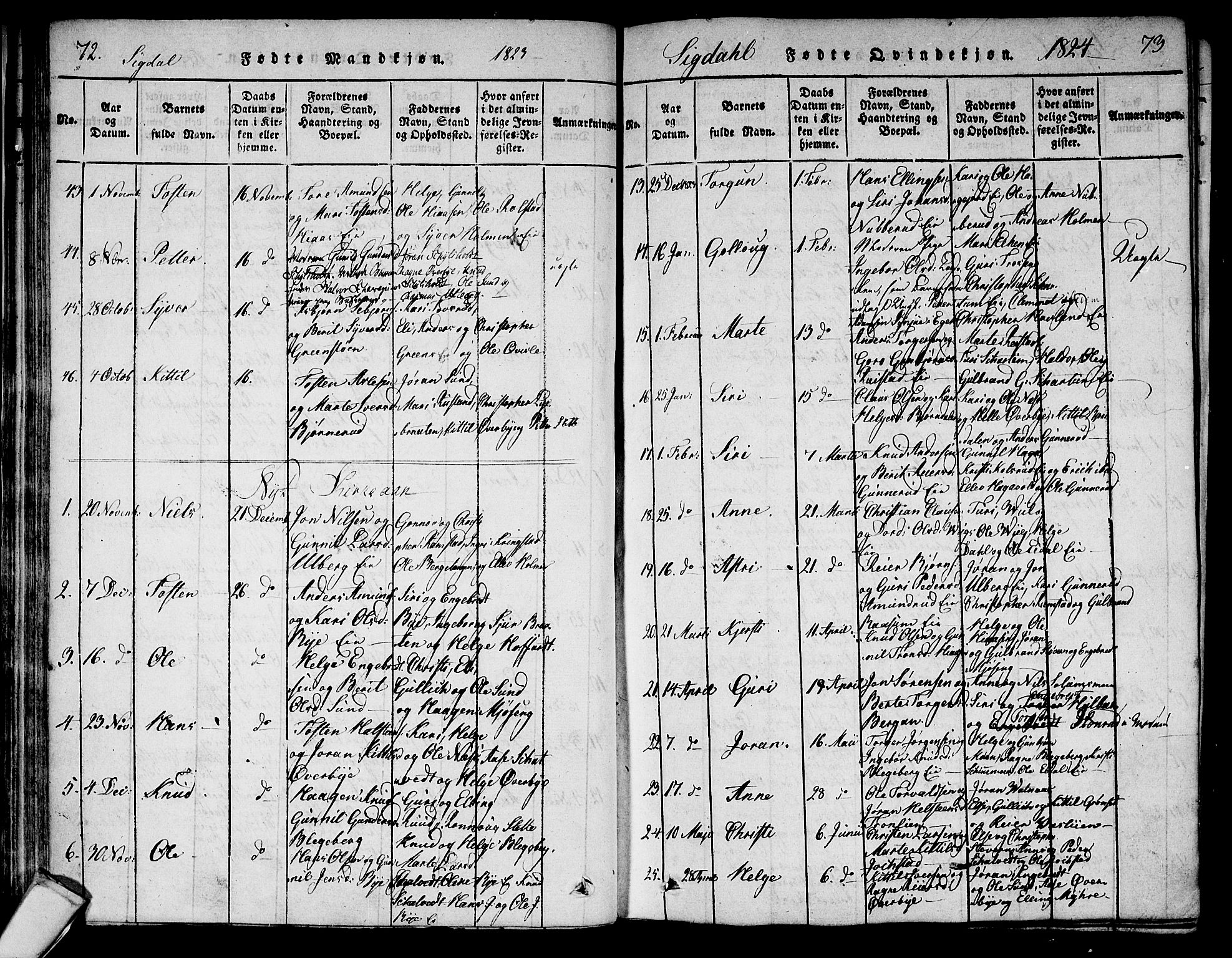 Sigdal kirkebøker, AV/SAKO-A-245/F/Fa/L0005: Parish register (official) no. I 5 /1, 1815-1829, p. 72-73