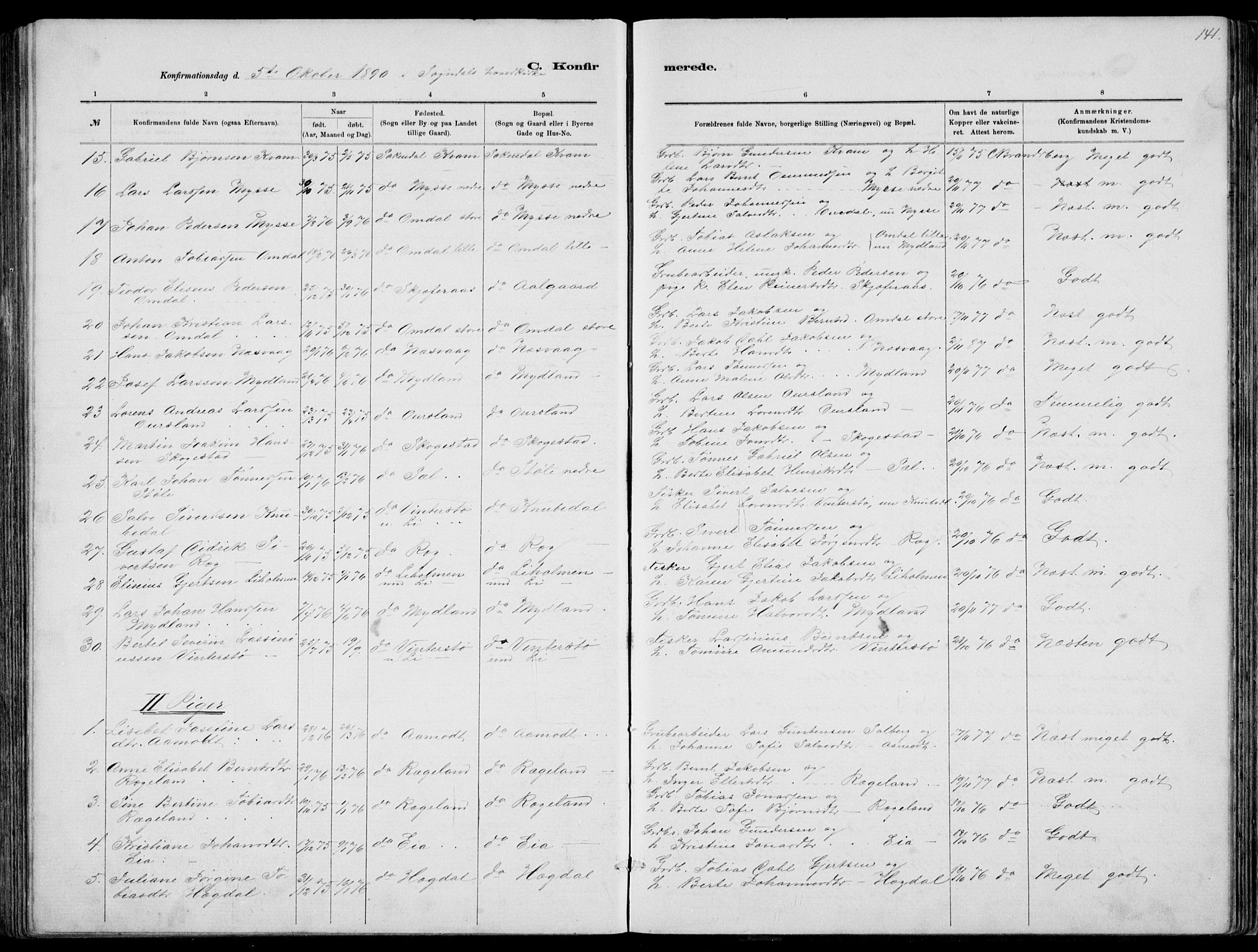 Sokndal sokneprestkontor, AV/SAST-A-101808: Parish register (copy) no. B 4, 1880-1891, p. 141