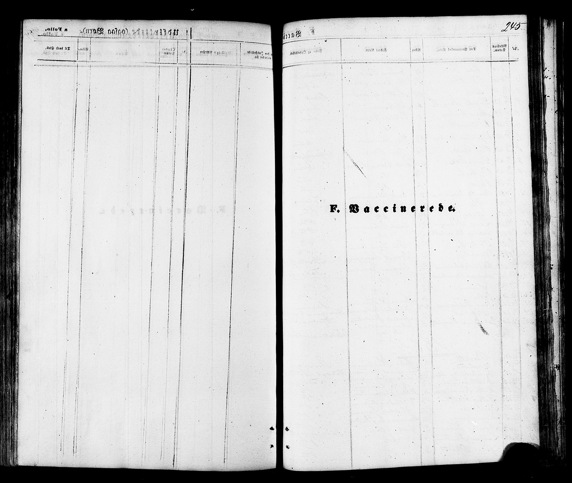 Talvik sokneprestkontor, SATØ/S-1337/H/Ha/L0011kirke: Parish register (official) no. 11, 1864-1877, p. 245