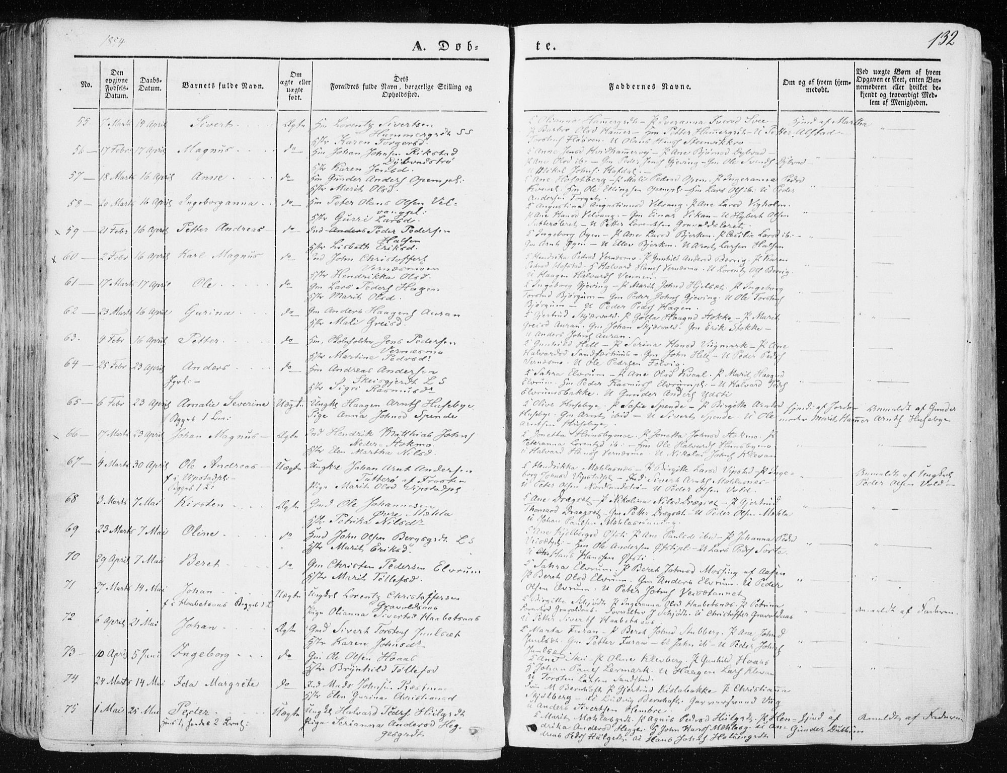 Ministerialprotokoller, klokkerbøker og fødselsregistre - Nord-Trøndelag, AV/SAT-A-1458/709/L0074: Parish register (official) no. 709A14, 1845-1858, p. 132