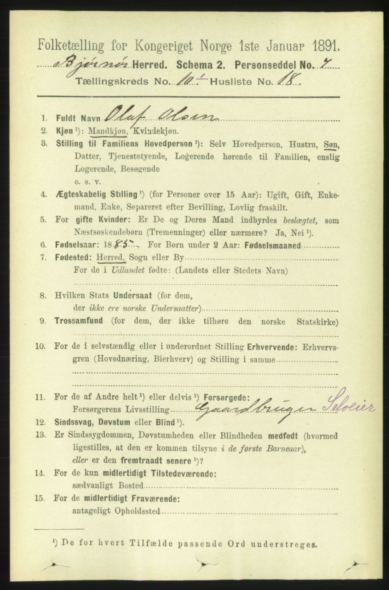 RA, 1891 census for 1632 Bjørnør, 1891, p. 4250