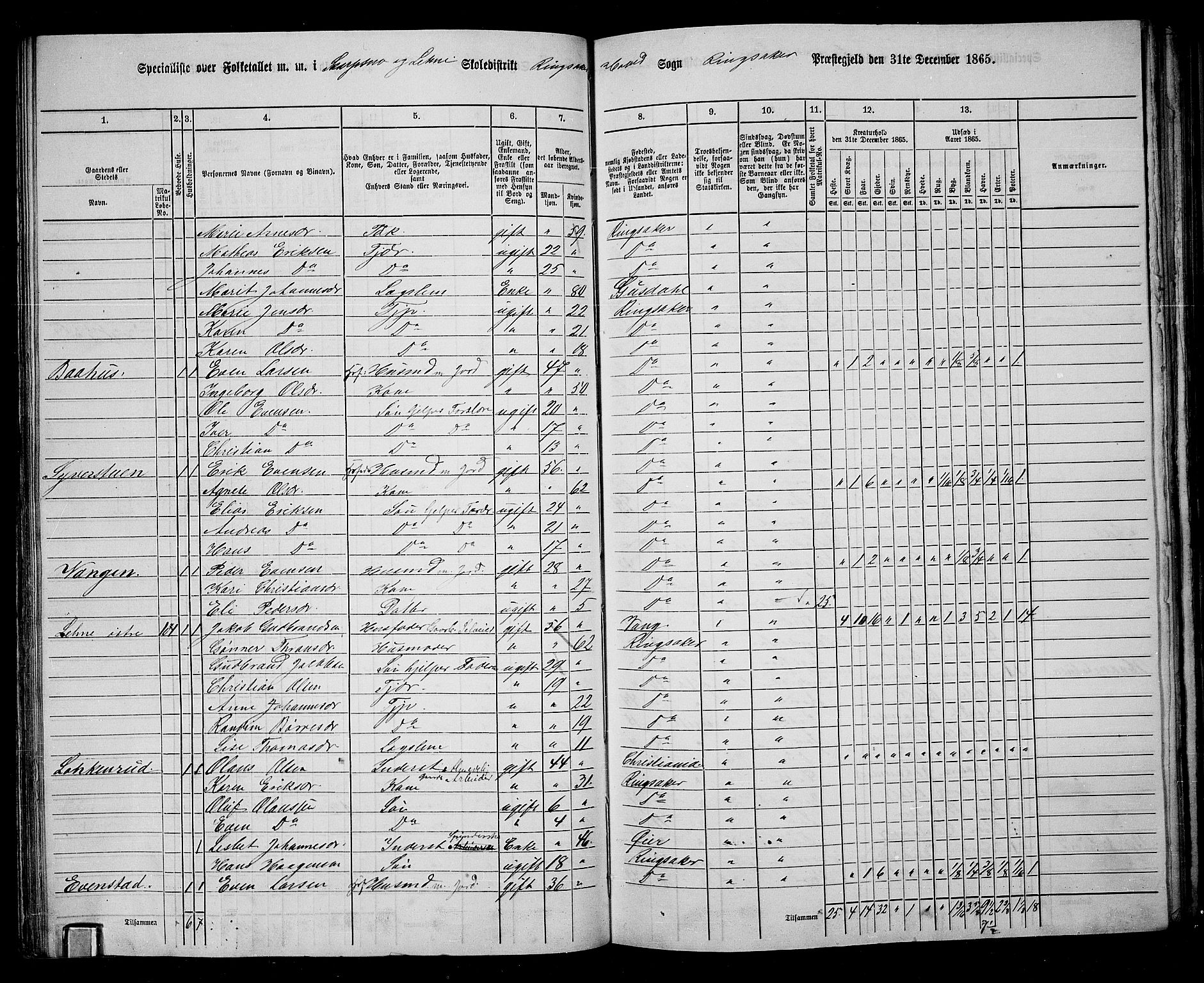 RA, 1865 census for Ringsaker, 1865, p. 119