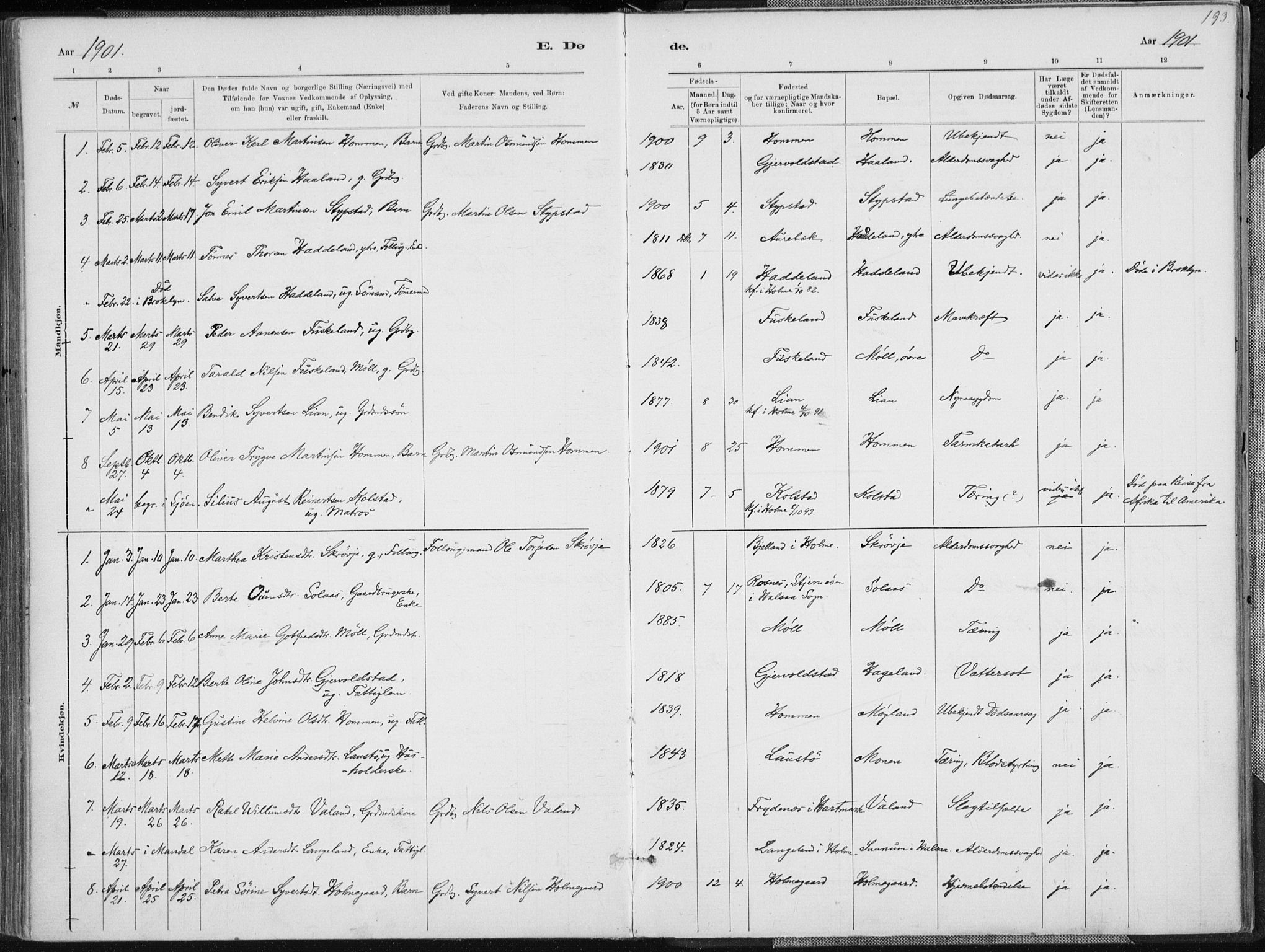 Holum sokneprestkontor, AV/SAK-1111-0022/F/Fa/Faa/L0007: Parish register (official) no. A 7, 1884-1907, p. 193