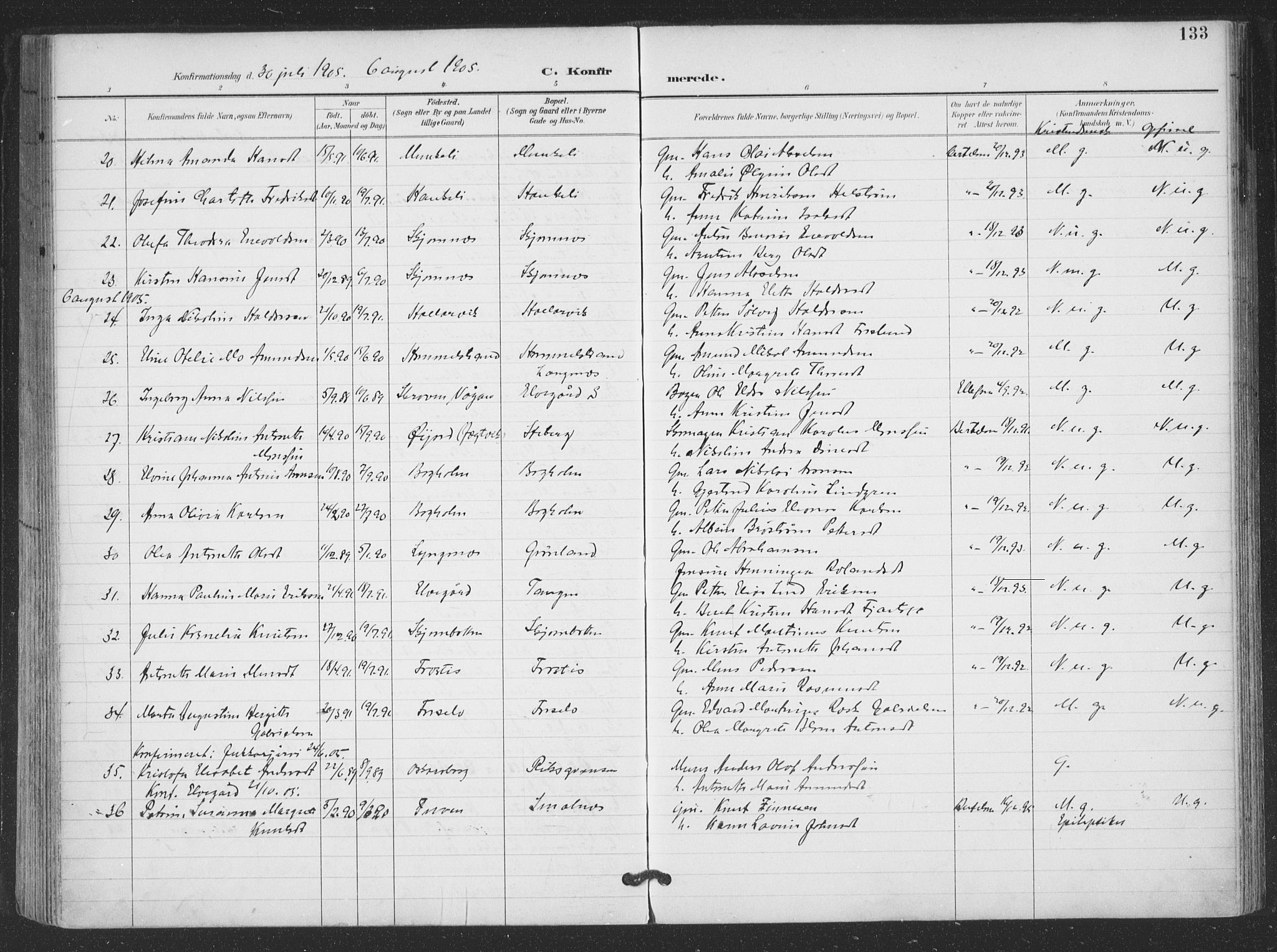 Ministerialprotokoller, klokkerbøker og fødselsregistre - Nordland, SAT/A-1459/866/L0939: Parish register (official) no. 866A02, 1894-1906, p. 133