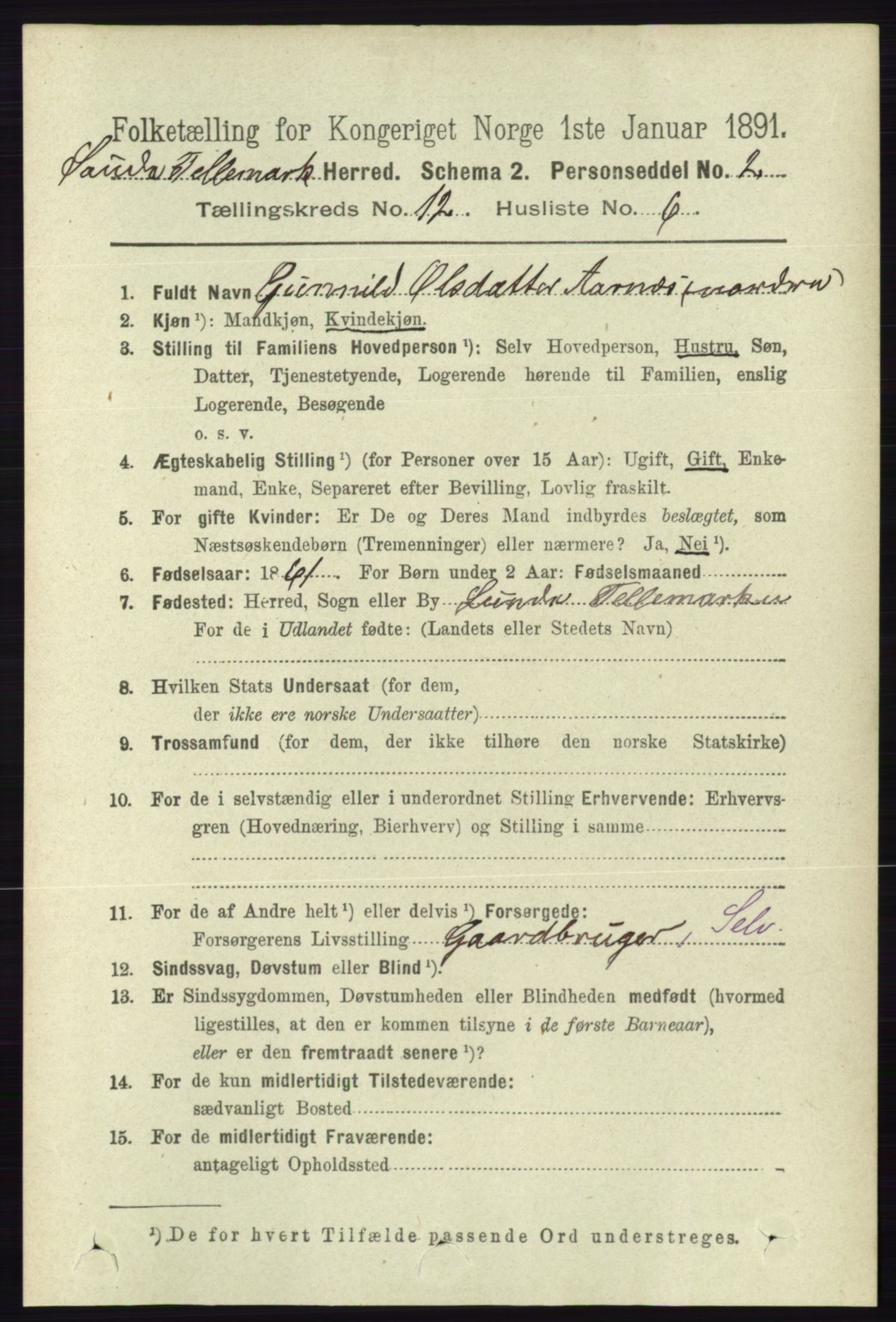 RA, 1891 census for 0822 Sauherad, 1891, p. 3653