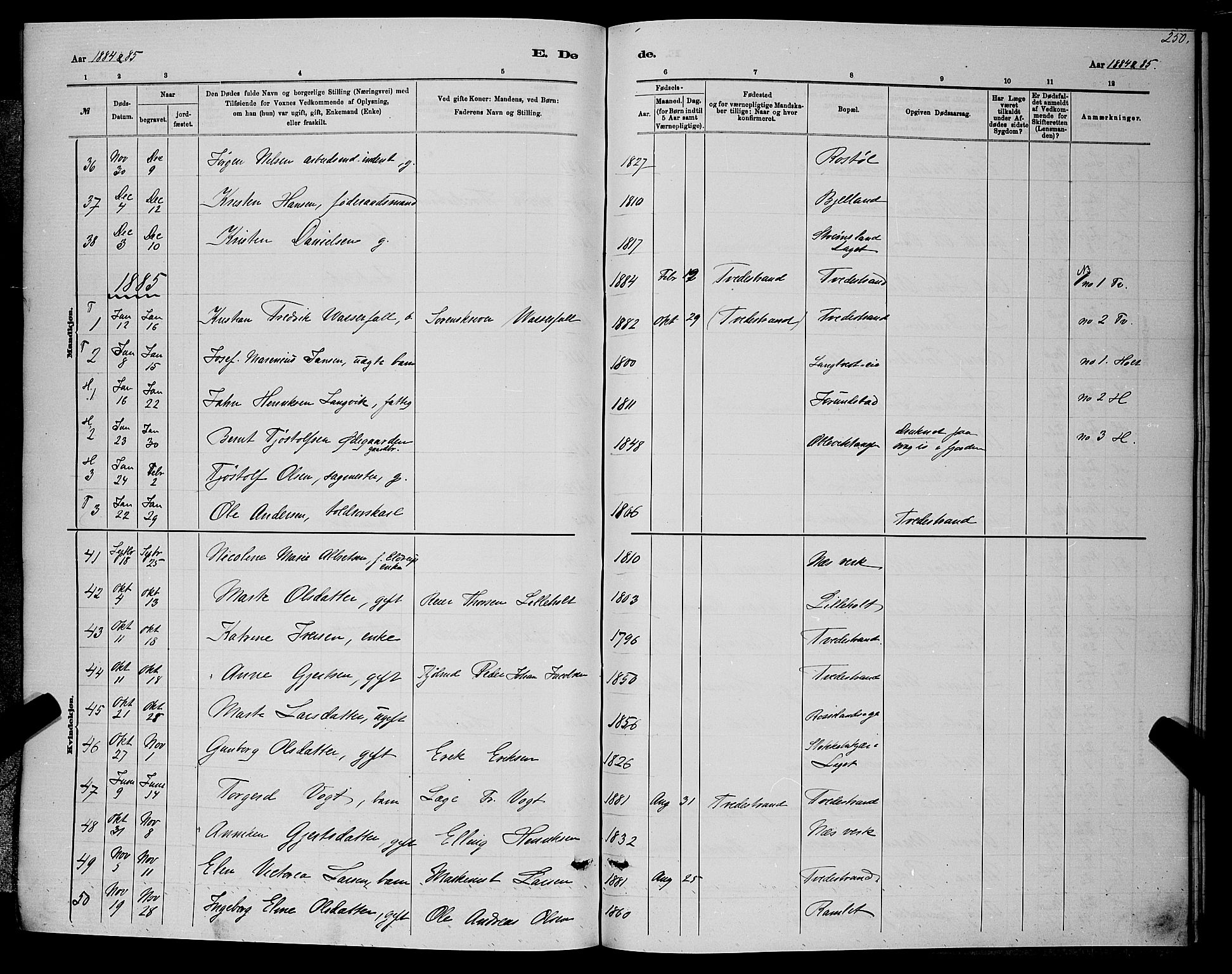 Holt sokneprestkontor, AV/SAK-1111-0021/F/Fb/L0010: Parish register (copy) no. B 10, 1883-1896, p. 250