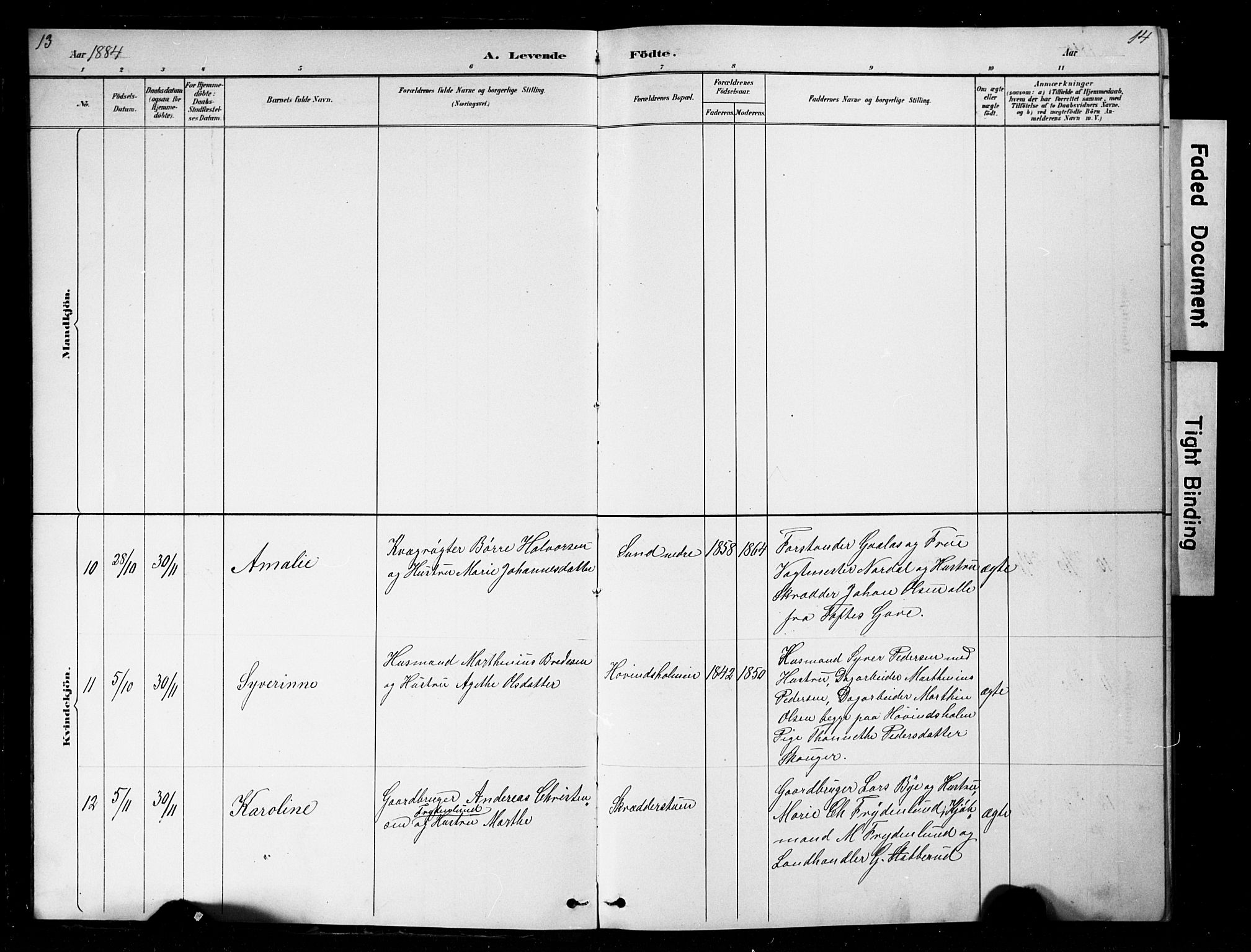 Nes prestekontor, Hedmark, AV/SAH-PREST-020/L/La/L0016: Parish register (copy) no. 16, 1883-1900, p. 13-14