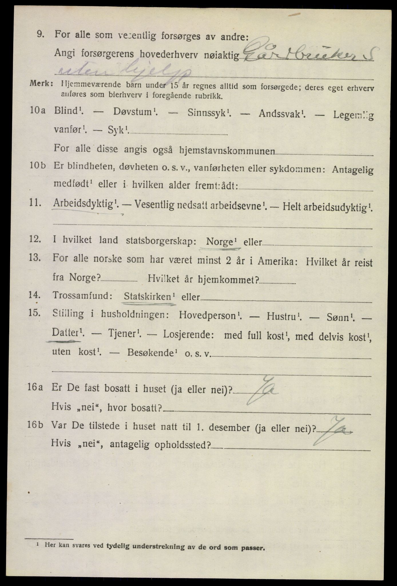 SAKO, 1920 census for Solum, 1920, p. 13155