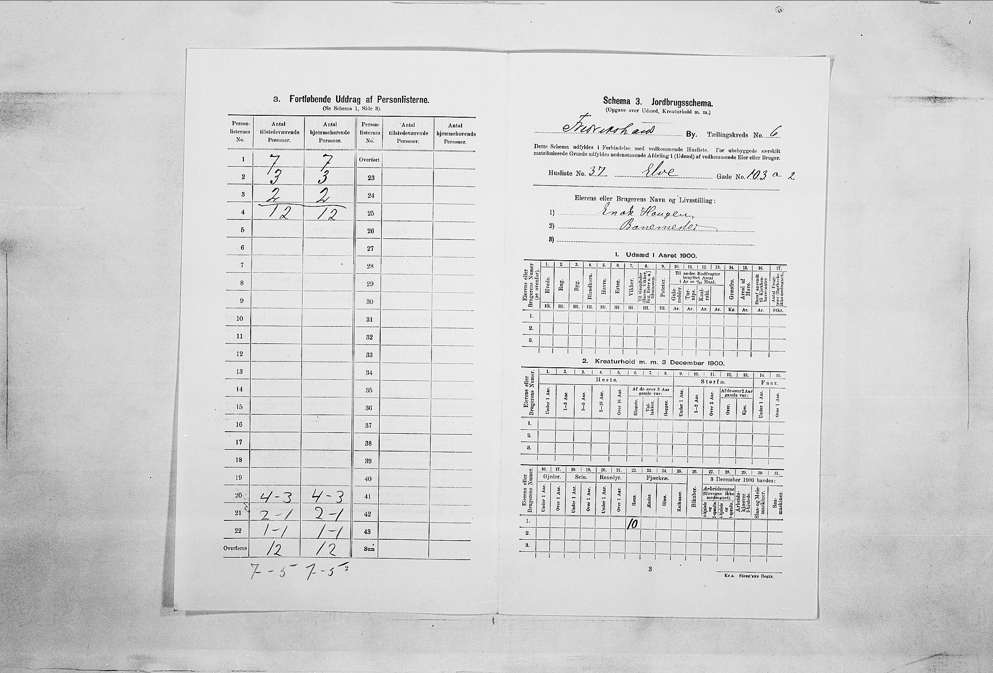 SAO, 1900 census for Fredrikshald, 1900