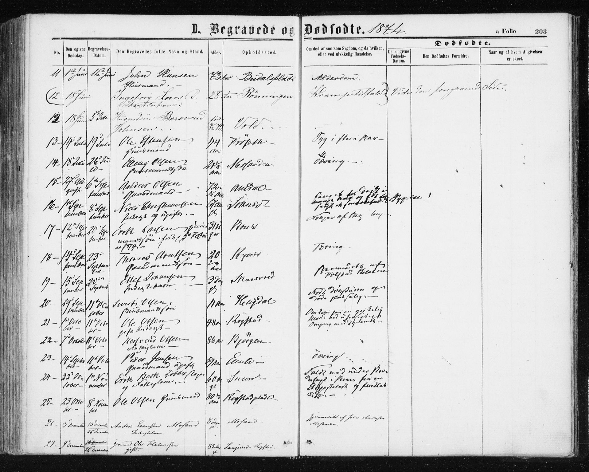 Ministerialprotokoller, klokkerbøker og fødselsregistre - Sør-Trøndelag, AV/SAT-A-1456/687/L1001: Parish register (official) no. 687A07, 1863-1878, p. 203