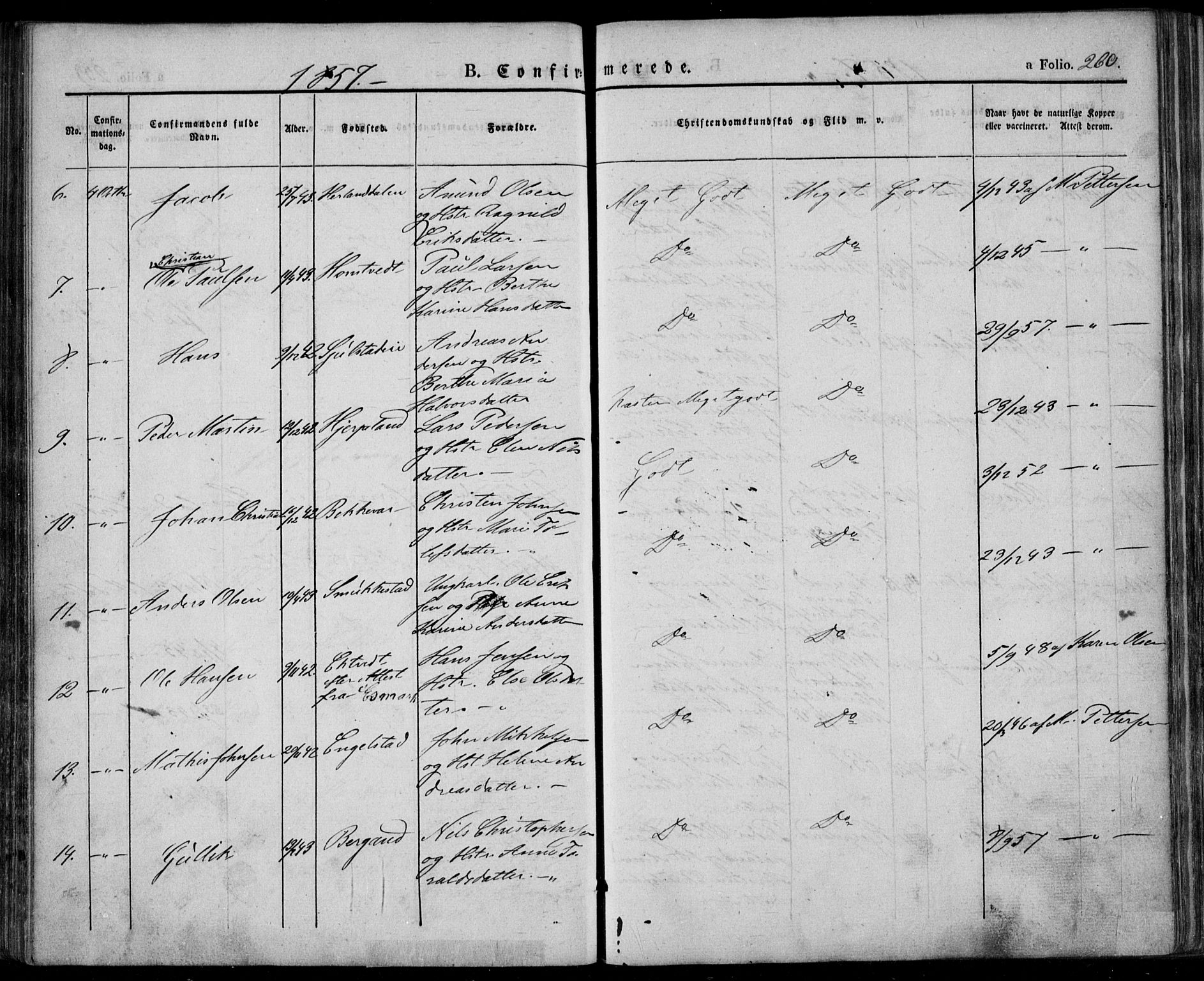 Lardal kirkebøker, AV/SAKO-A-350/F/Fa/L0006: Parish register (official) no. I 6, 1835-1860, p. 260