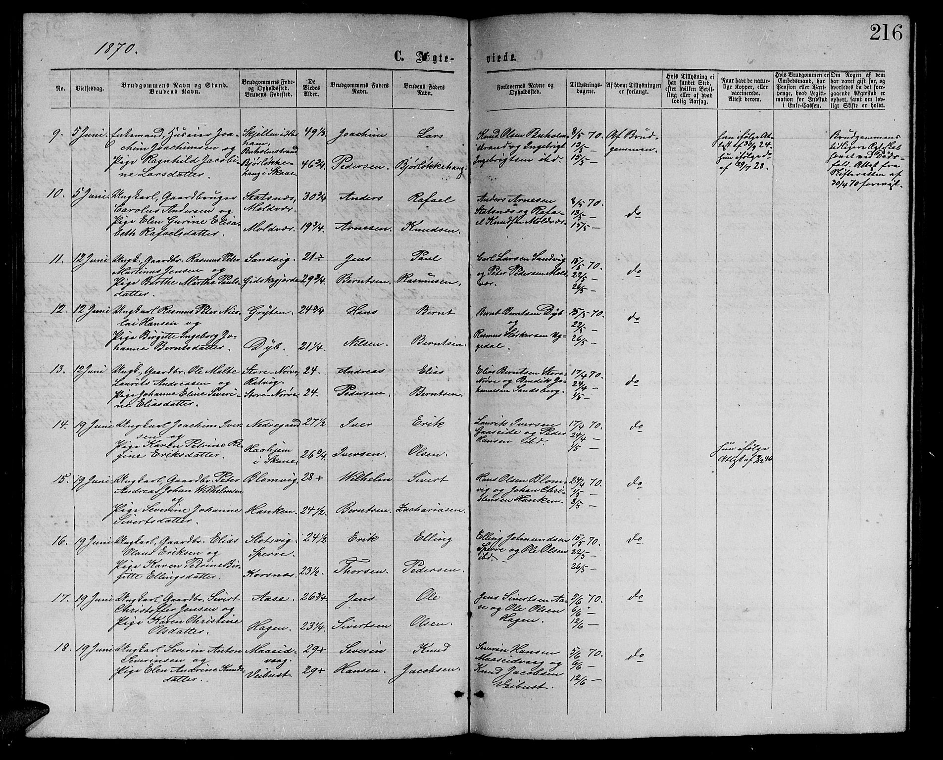 Ministerialprotokoller, klokkerbøker og fødselsregistre - Møre og Romsdal, AV/SAT-A-1454/528/L0428: Parish register (copy) no. 528C09, 1864-1880, p. 216