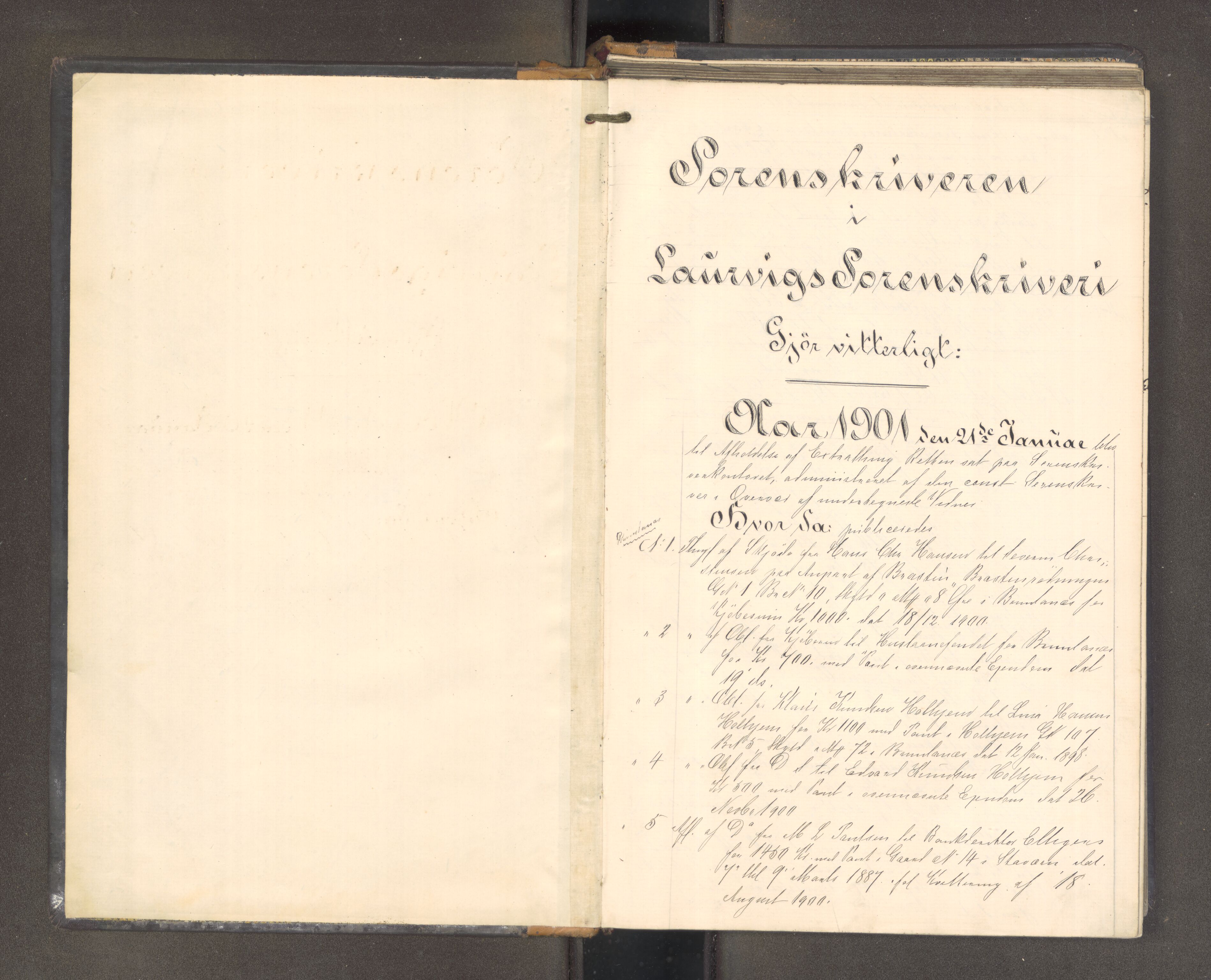 Larvik sorenskriveri, AV/SAKO-A-83/F/Fa/L0055: Tingbok, 1901-1902
