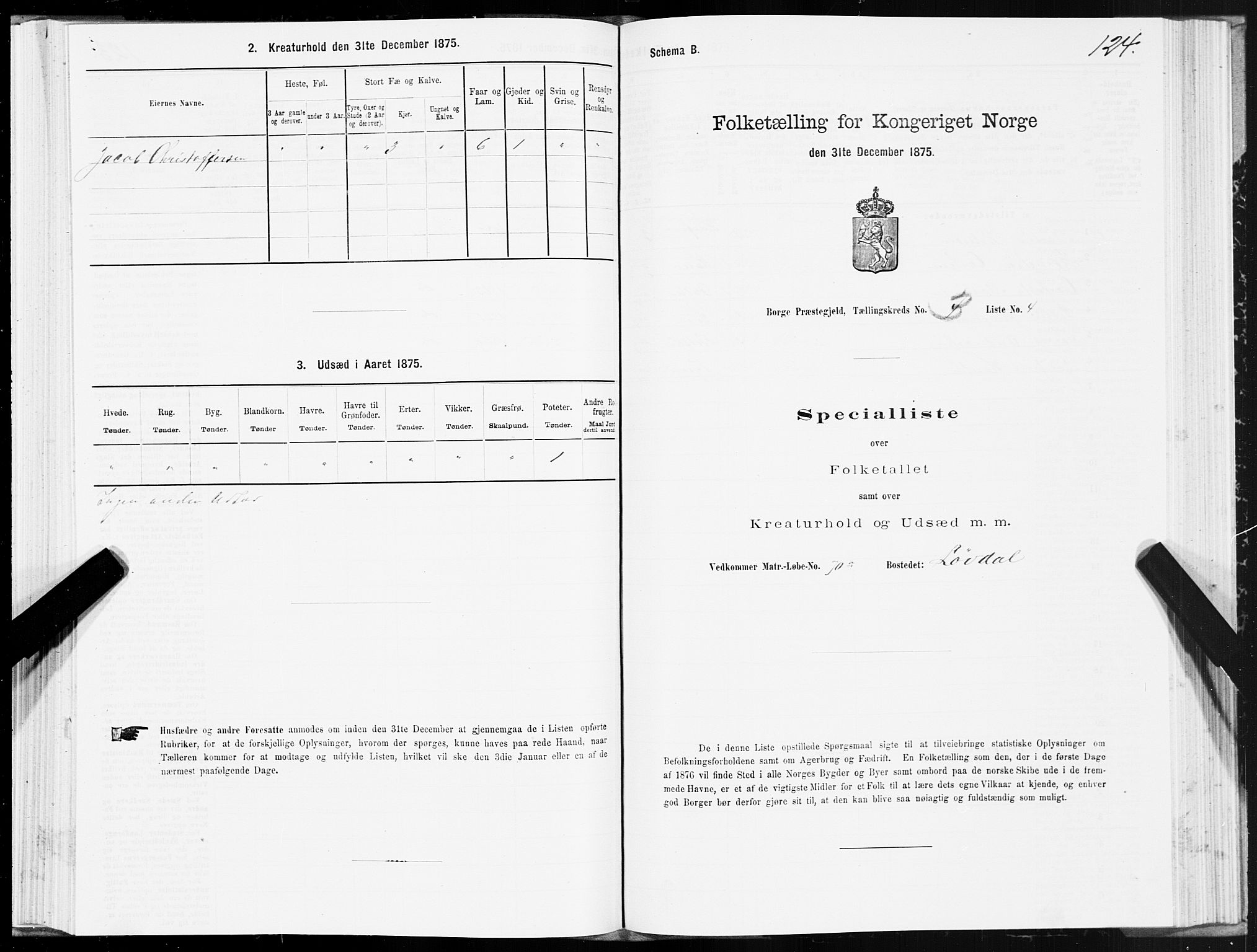 SAT, 1875 census for 1862P Borge, 1875, p. 2124