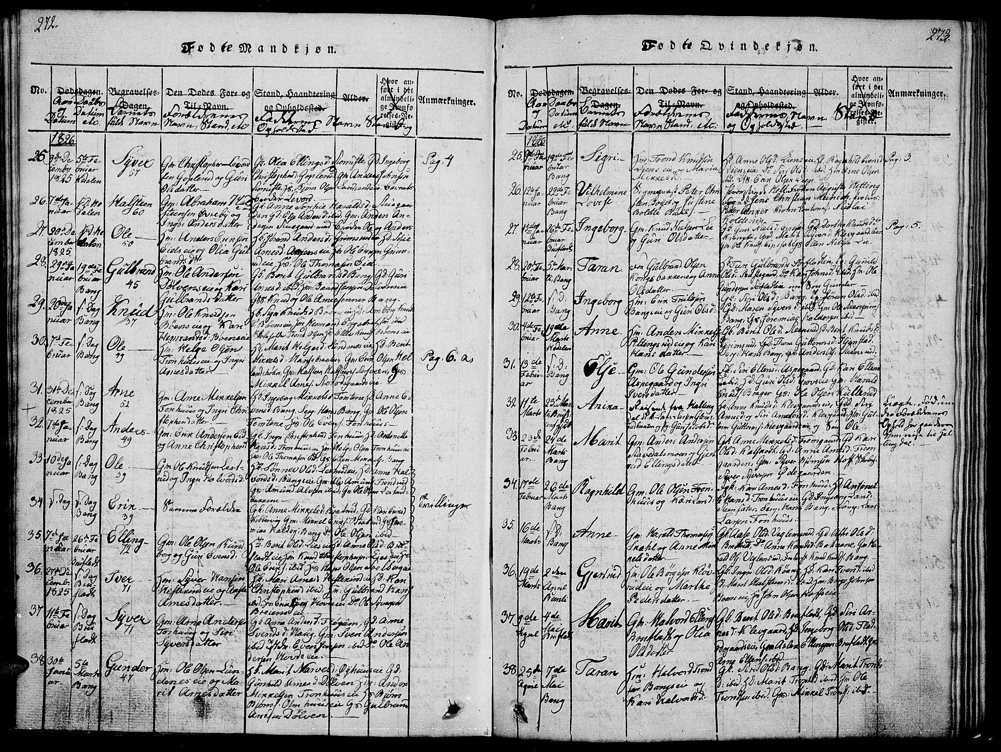 Sør-Aurdal prestekontor, SAH/PREST-128/H/Ha/Hab/L0001: Parish register (copy) no. 1, 1815-1826, p. 272-273