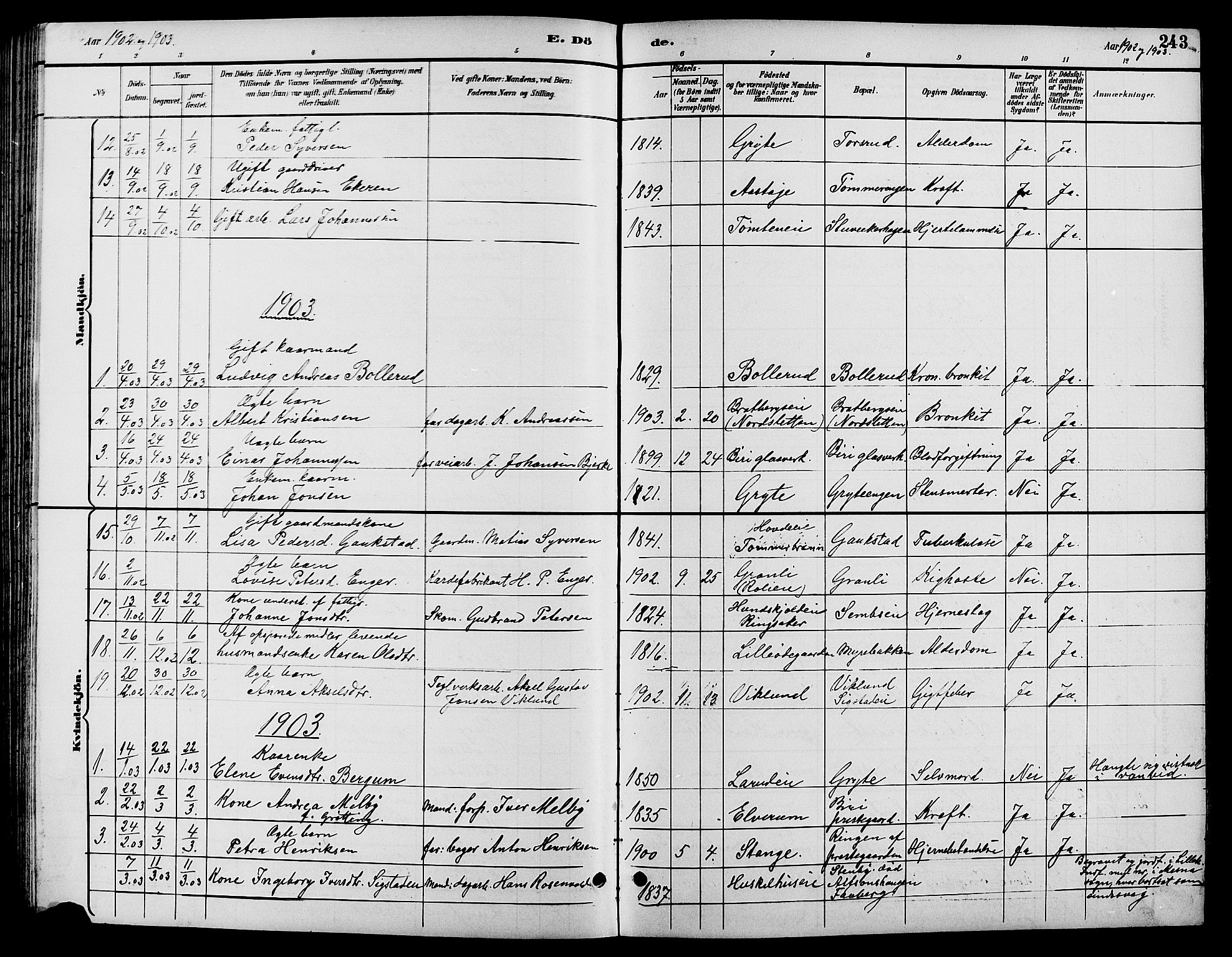 Biri prestekontor, SAH/PREST-096/H/Ha/Hab/L0004: Parish register (copy) no. 4, 1892-1909, p. 243