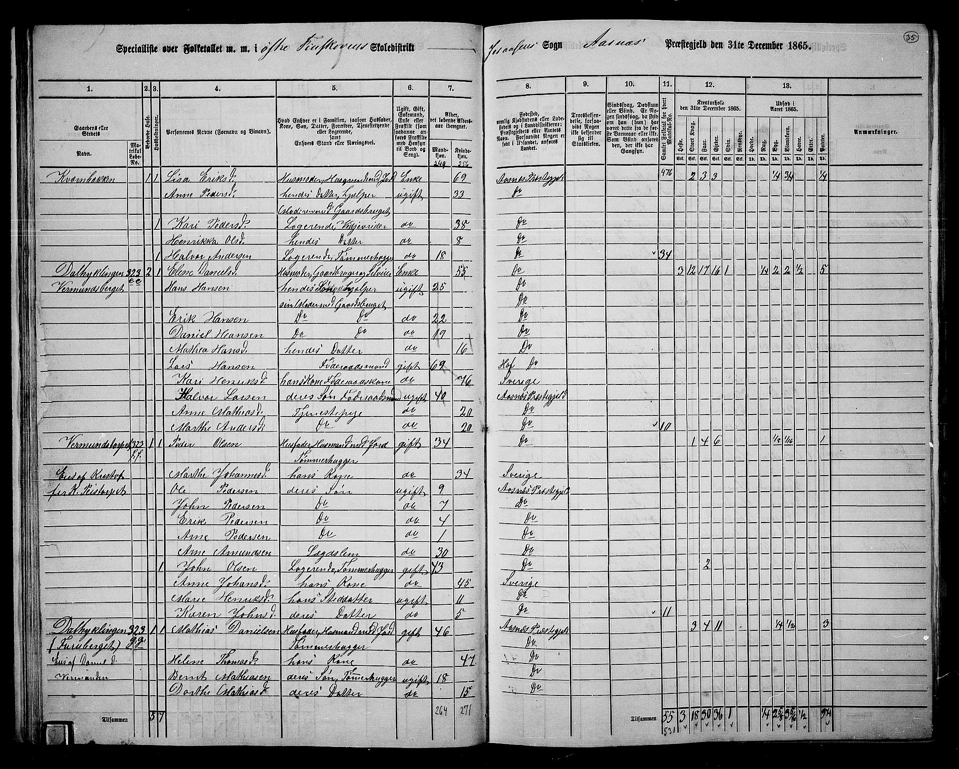 RA, 1865 census for Åsnes, 1865, p. 32