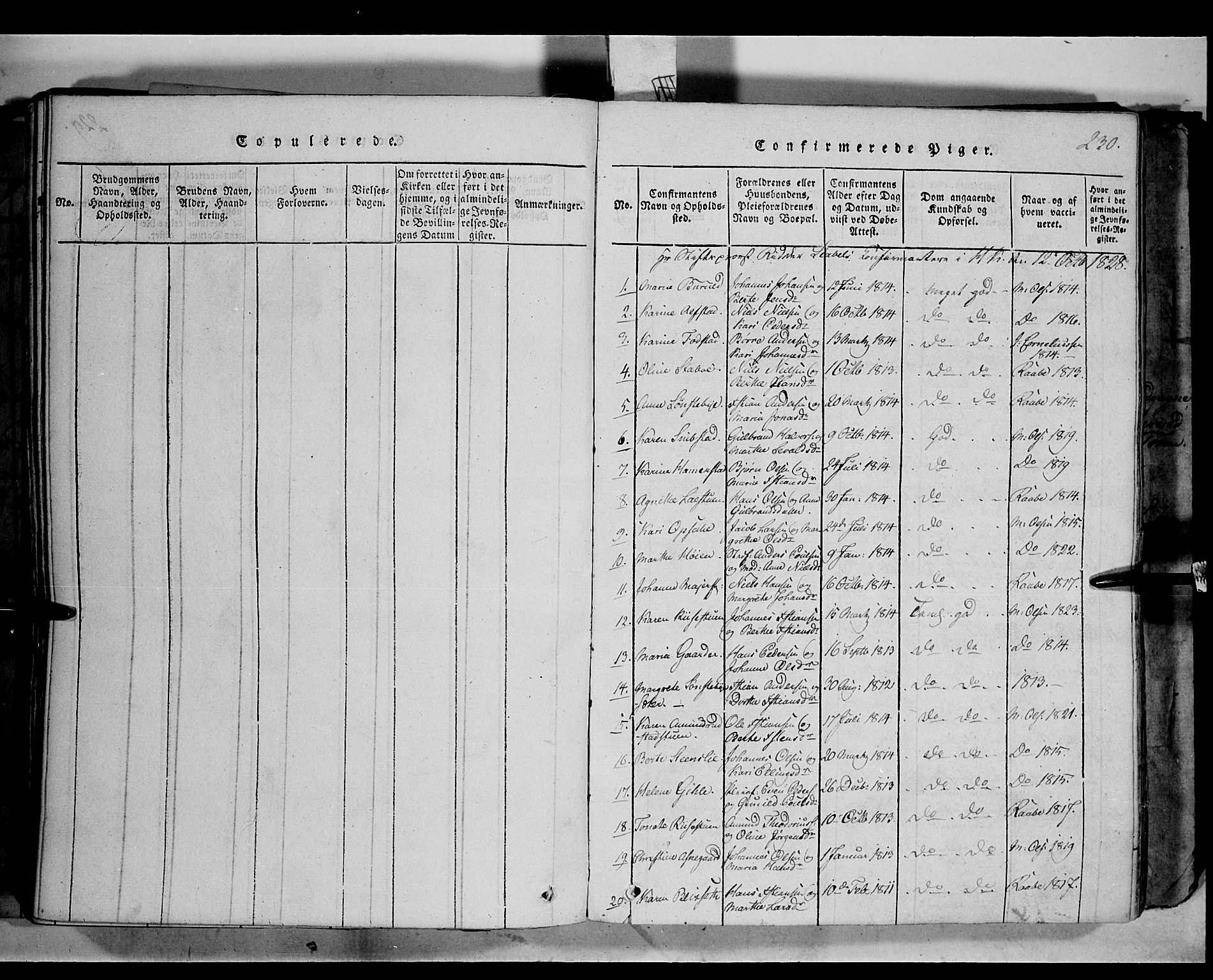 Østre Toten prestekontor, SAH/PREST-104/H/Ha/Haa/L0001: Parish register (official) no. 1, 1828-1839, p. 230