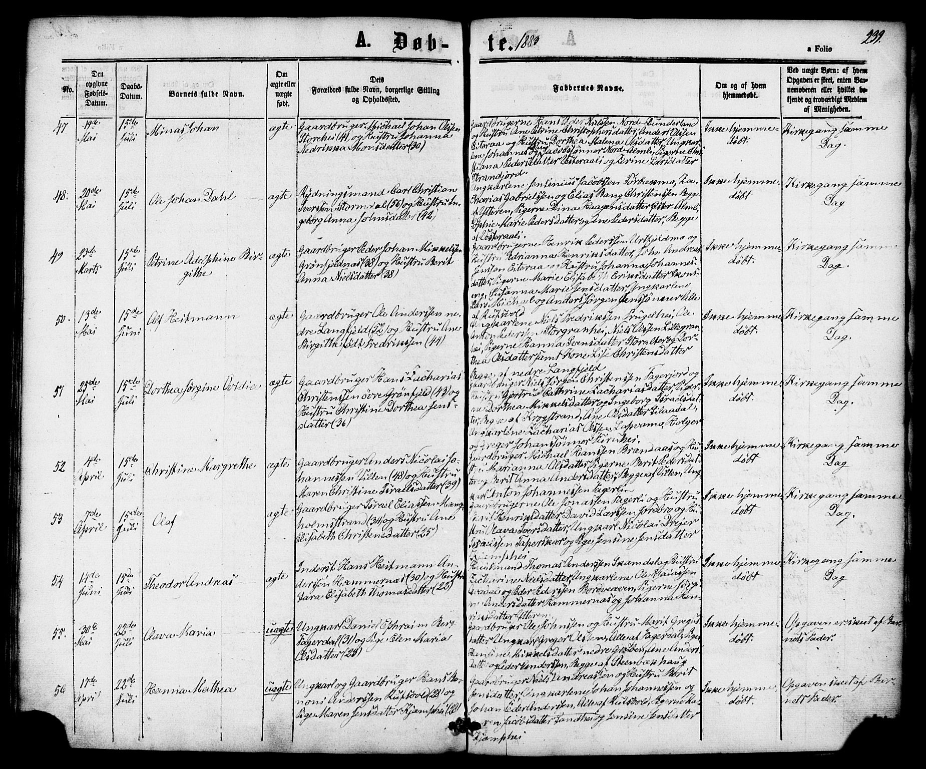 Ministerialprotokoller, klokkerbøker og fødselsregistre - Nordland, AV/SAT-A-1459/827/L0393: Parish register (official) no. 827A05, 1863-1883, p. 239