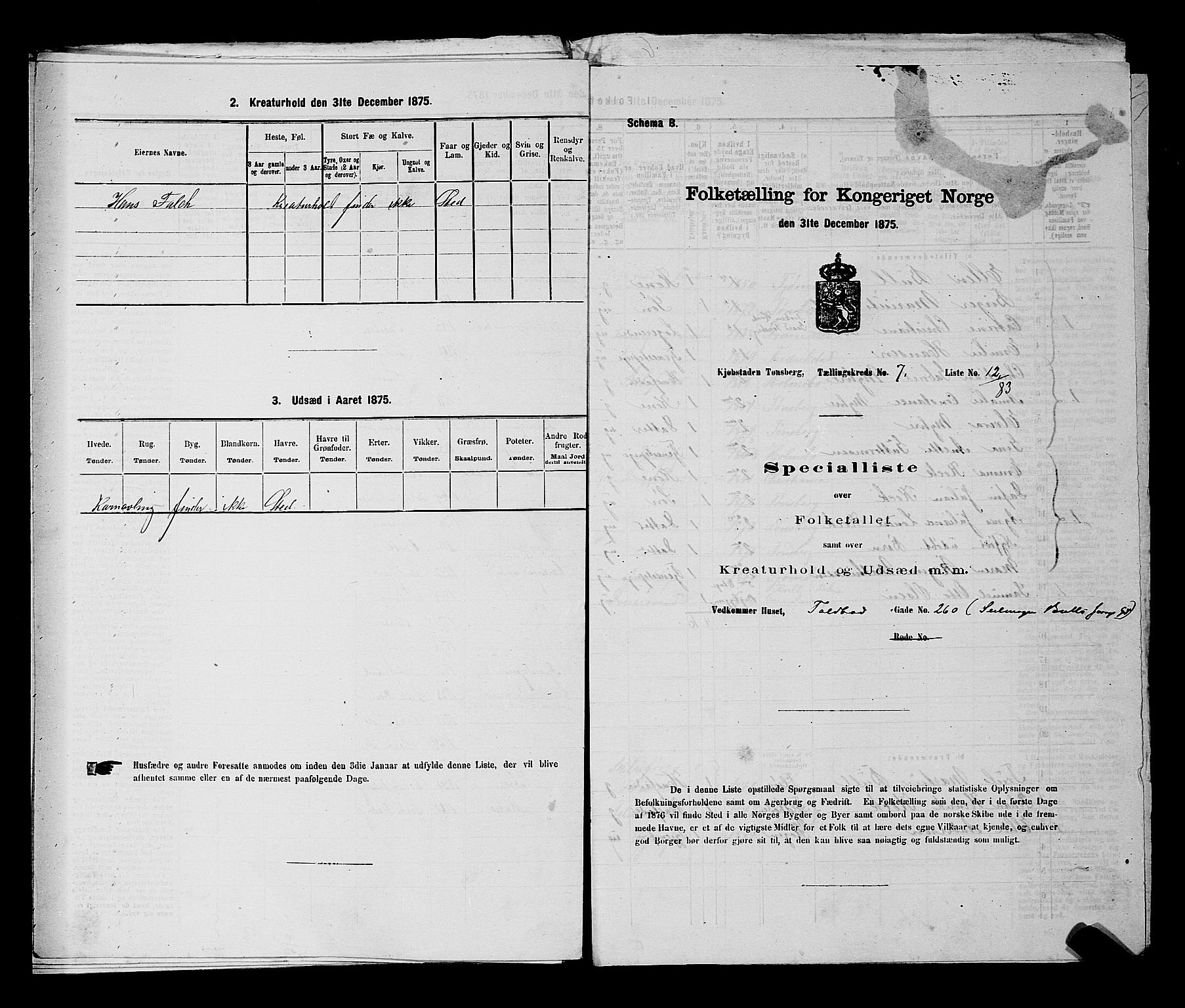 SAKO, 1875 census for 0705P Tønsberg, 1875, p. 218