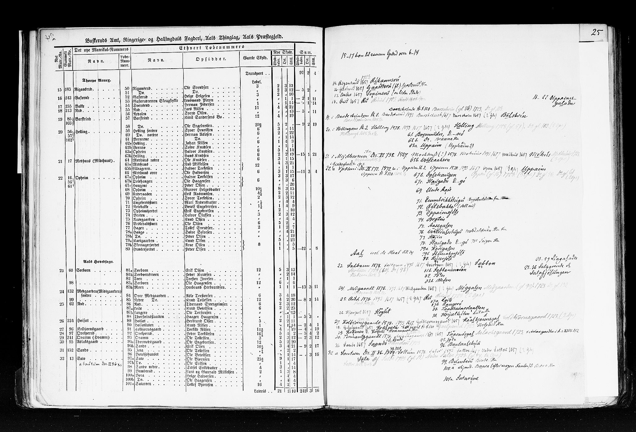 Rygh, AV/RA-PA-0034/F/Fb/L0005: Matrikkelen for 1838 - Buskerud amt (Buskerud fylke), 1838, p. 24b