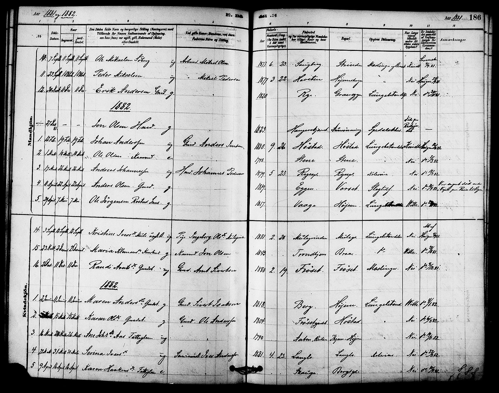 Ministerialprotokoller, klokkerbøker og fødselsregistre - Sør-Trøndelag, AV/SAT-A-1456/612/L0378: Parish register (official) no. 612A10, 1878-1897, p. 186