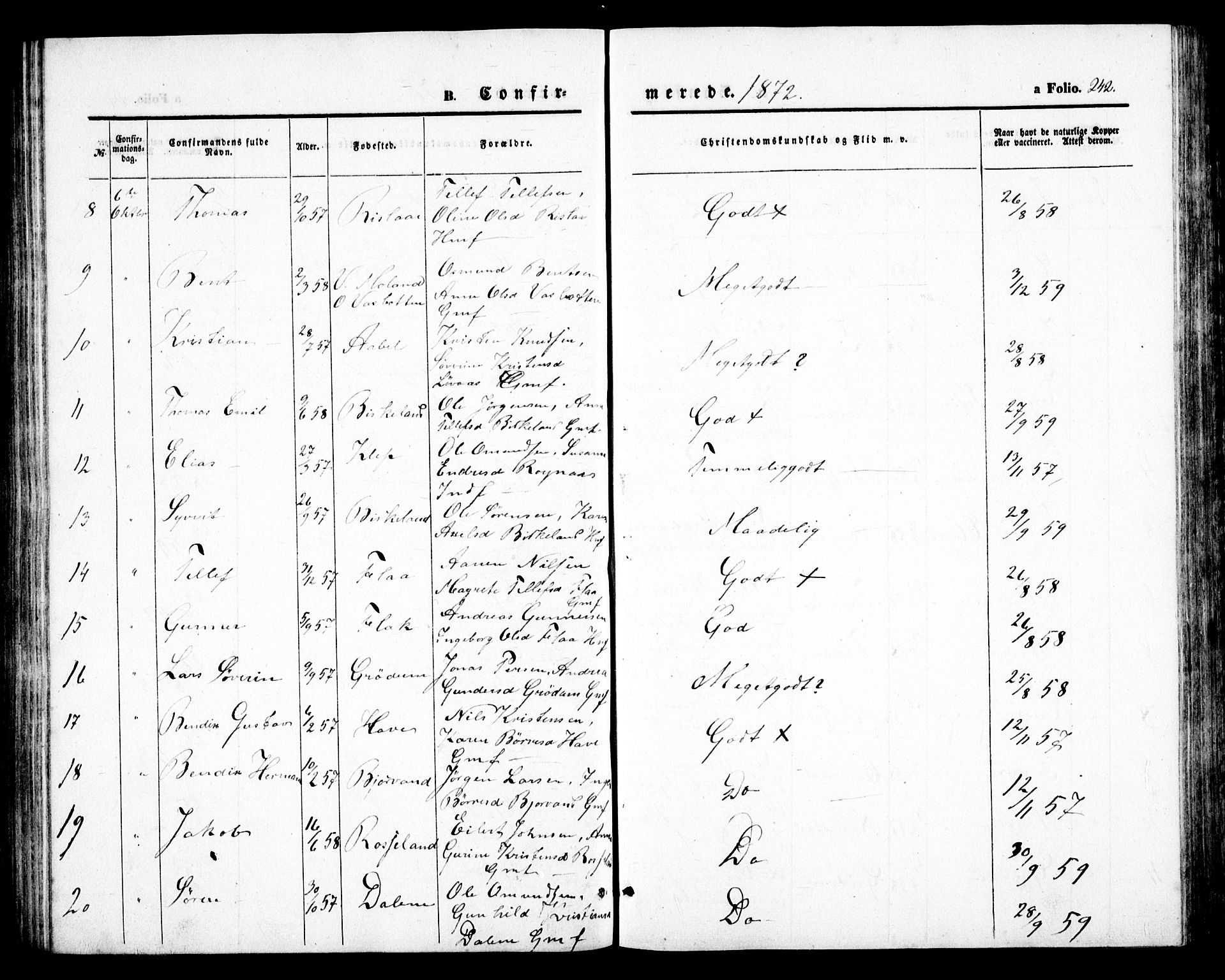 Birkenes sokneprestkontor, AV/SAK-1111-0004/F/Fb/L0002: Parish register (copy) no. B 2, 1849-1876, p. 242