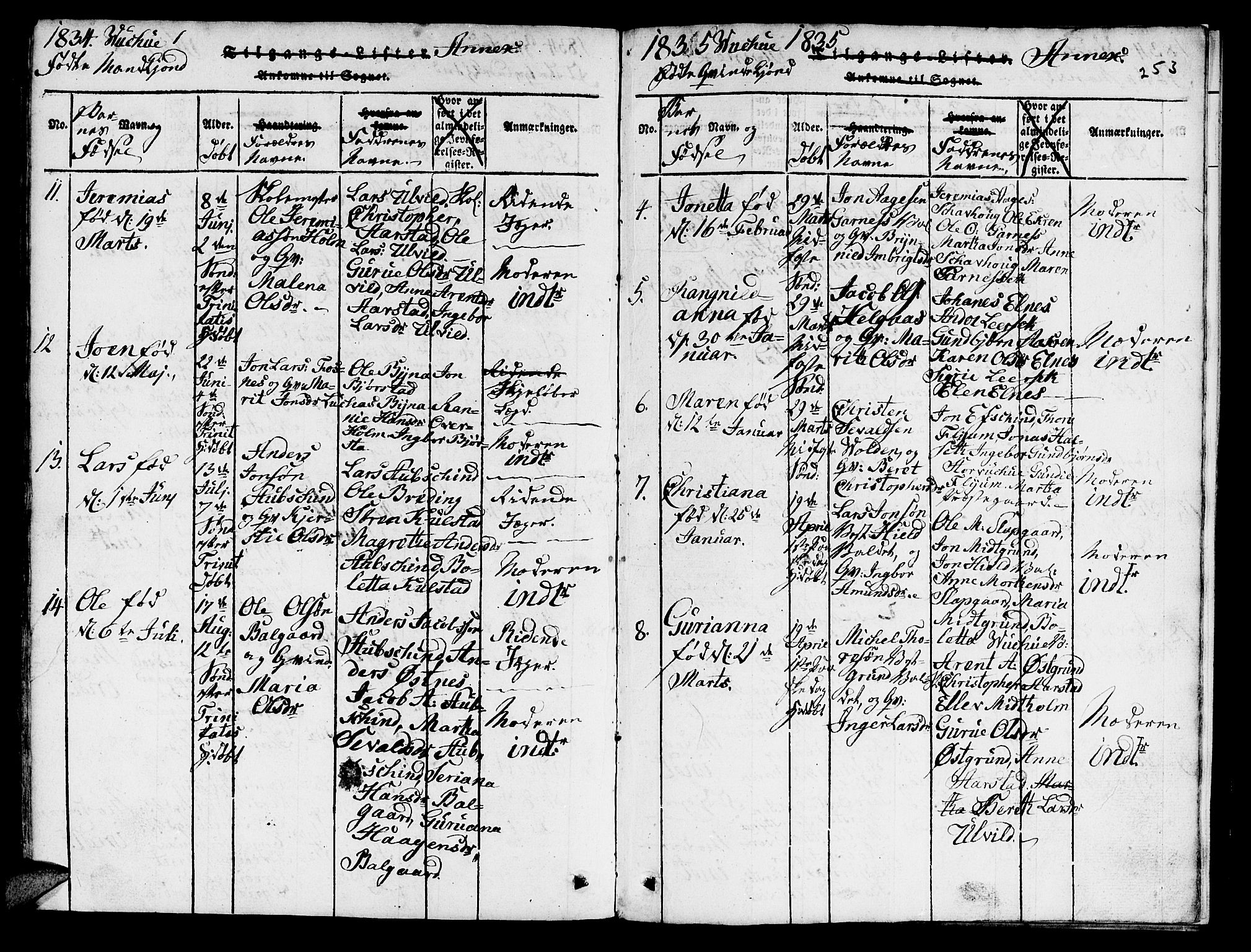 Ministerialprotokoller, klokkerbøker og fødselsregistre - Nord-Trøndelag, SAT/A-1458/724/L0265: Parish register (copy) no. 724C01, 1816-1845, p. 253