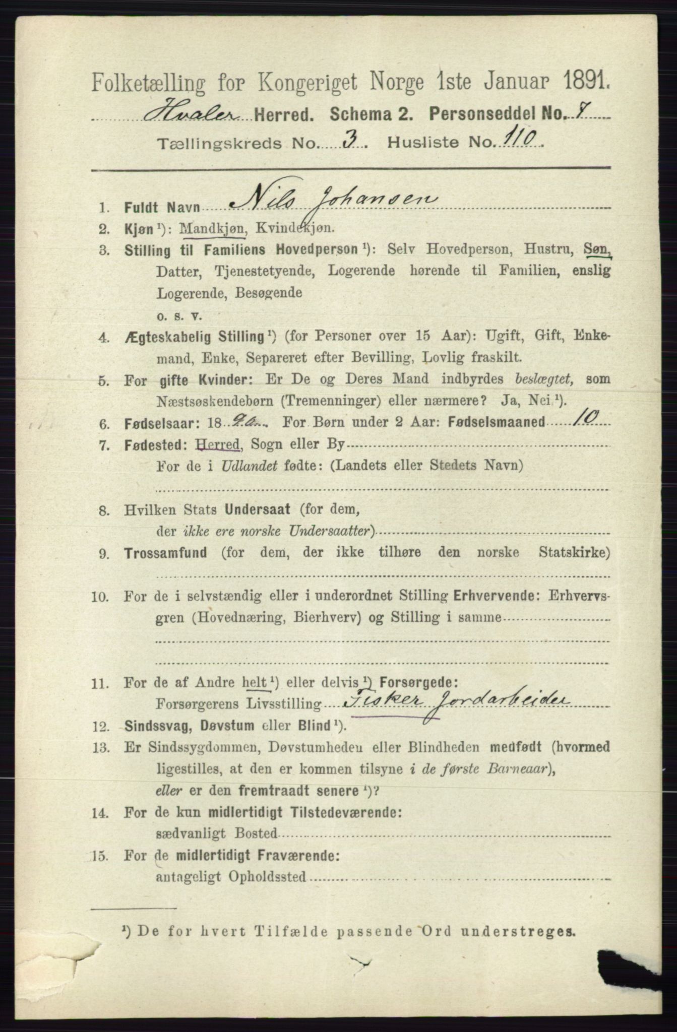 RA, 1891 census for 0111 Hvaler, 1891, p. 2556