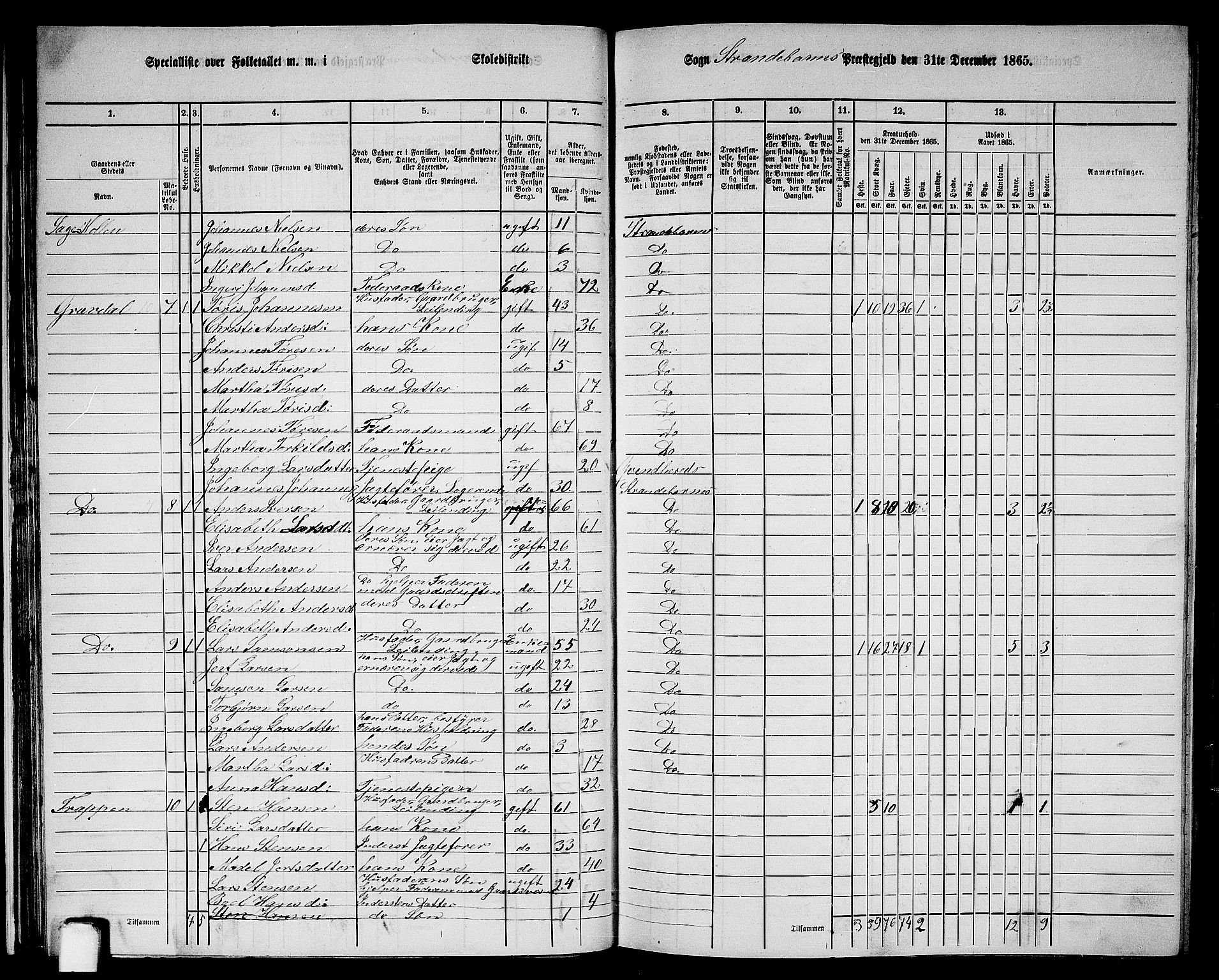 RA, 1865 census for Strandebarm, 1865, p. 29