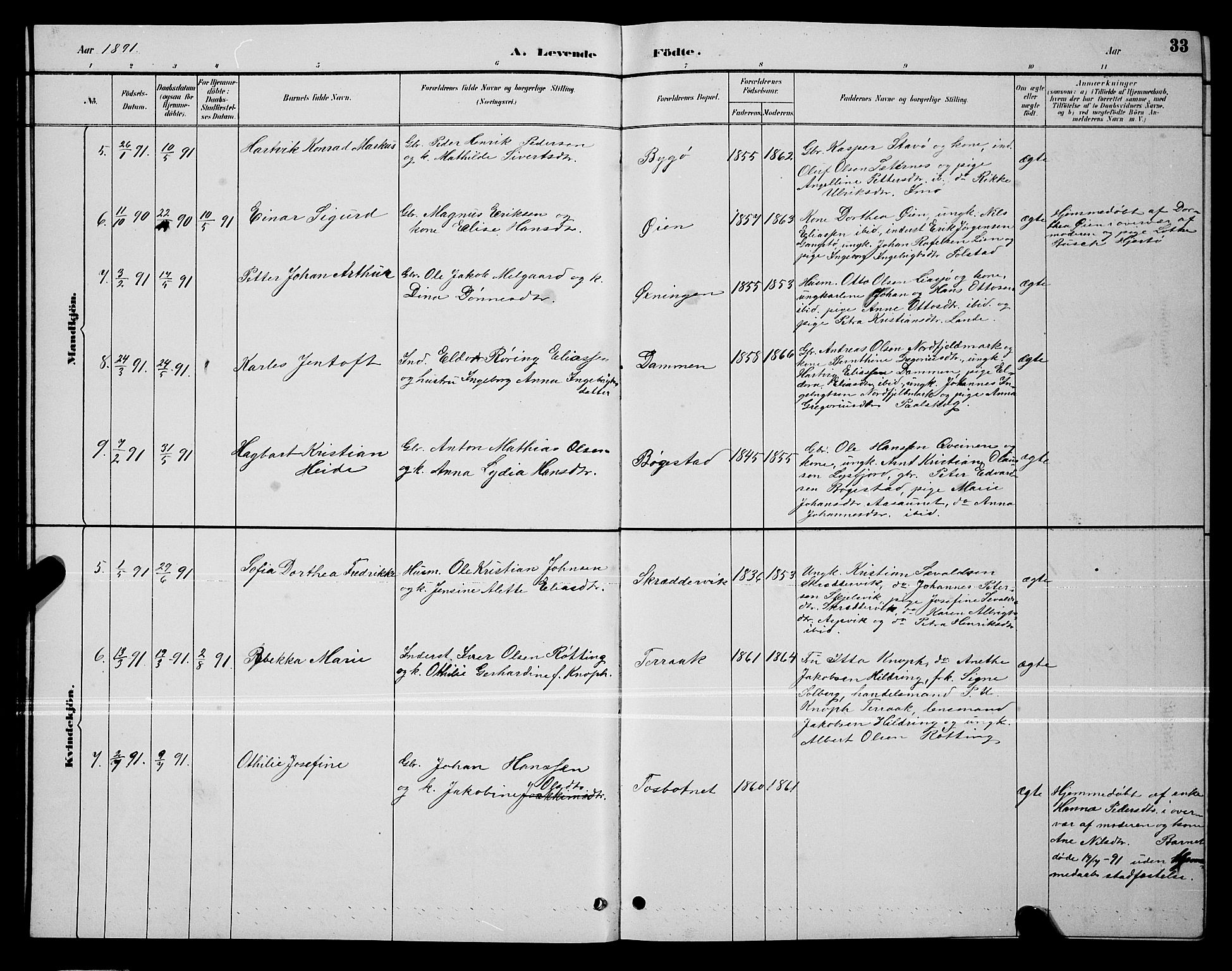 Ministerialprotokoller, klokkerbøker og fødselsregistre - Nordland, AV/SAT-A-1459/810/L0160: Parish register (copy) no. 810C03, 1884-1896, p. 33