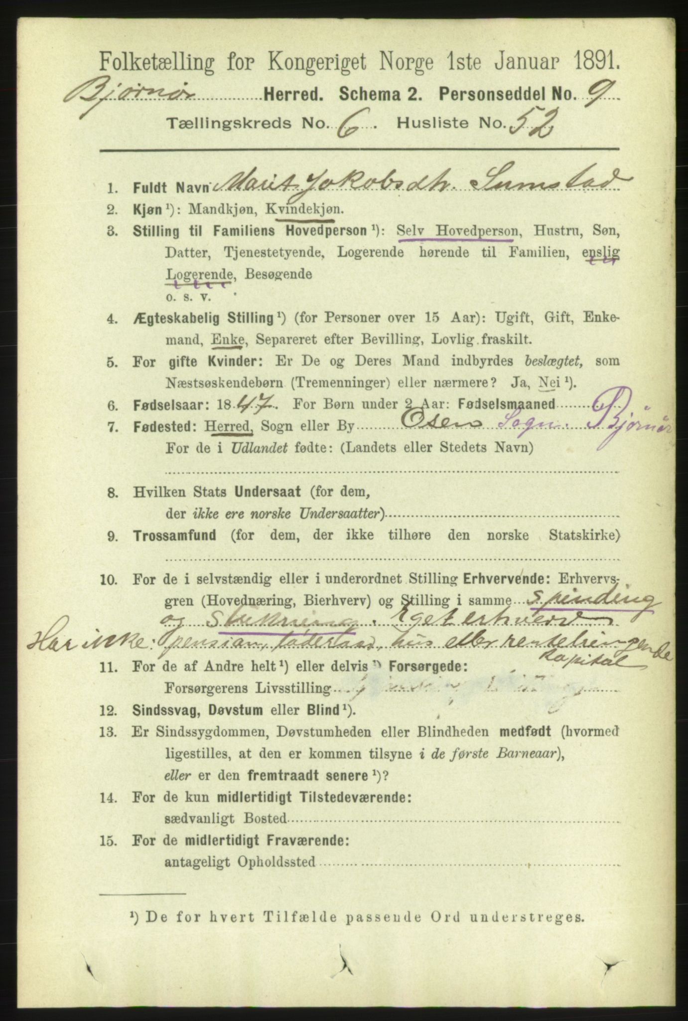 RA, 1891 census for 1632 Bjørnør, 1891, p. 2924