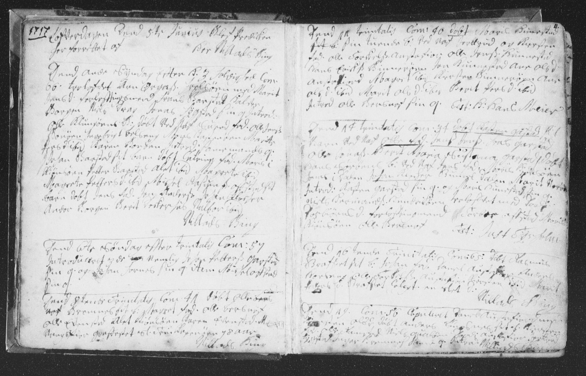 Ministerialprotokoller, klokkerbøker og fødselsregistre - Nord-Trøndelag, SAT/A-1458/786/L0685: Parish register (official) no. 786A01, 1710-1798, p. 11