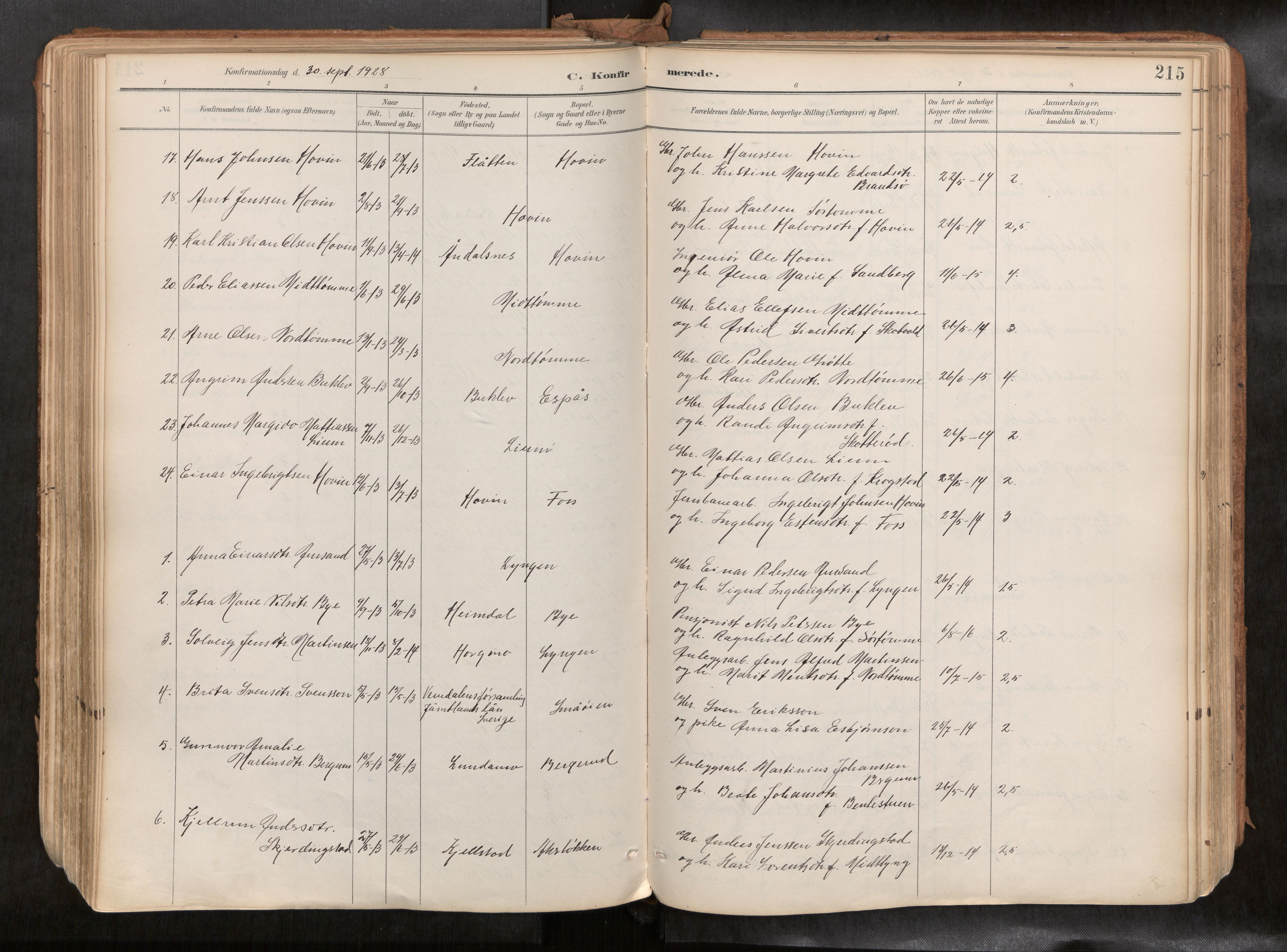 Ministerialprotokoller, klokkerbøker og fødselsregistre - Sør-Trøndelag, SAT/A-1456/692/L1105b: Parish register (official) no. 692A06, 1891-1934, p. 215