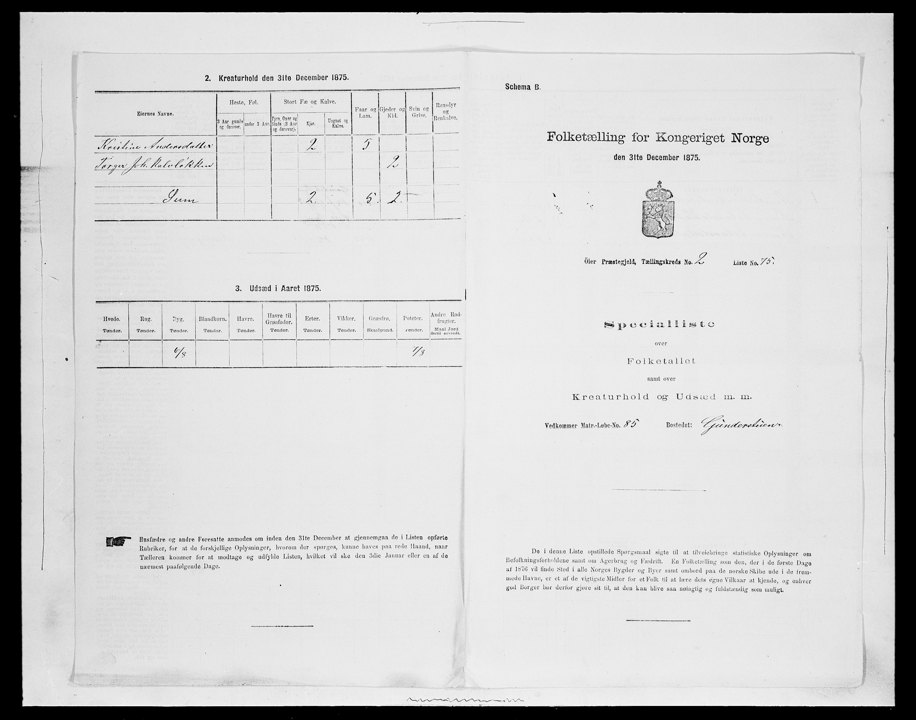 SAH, 1875 census for 0521P Øyer, 1875, p. 485