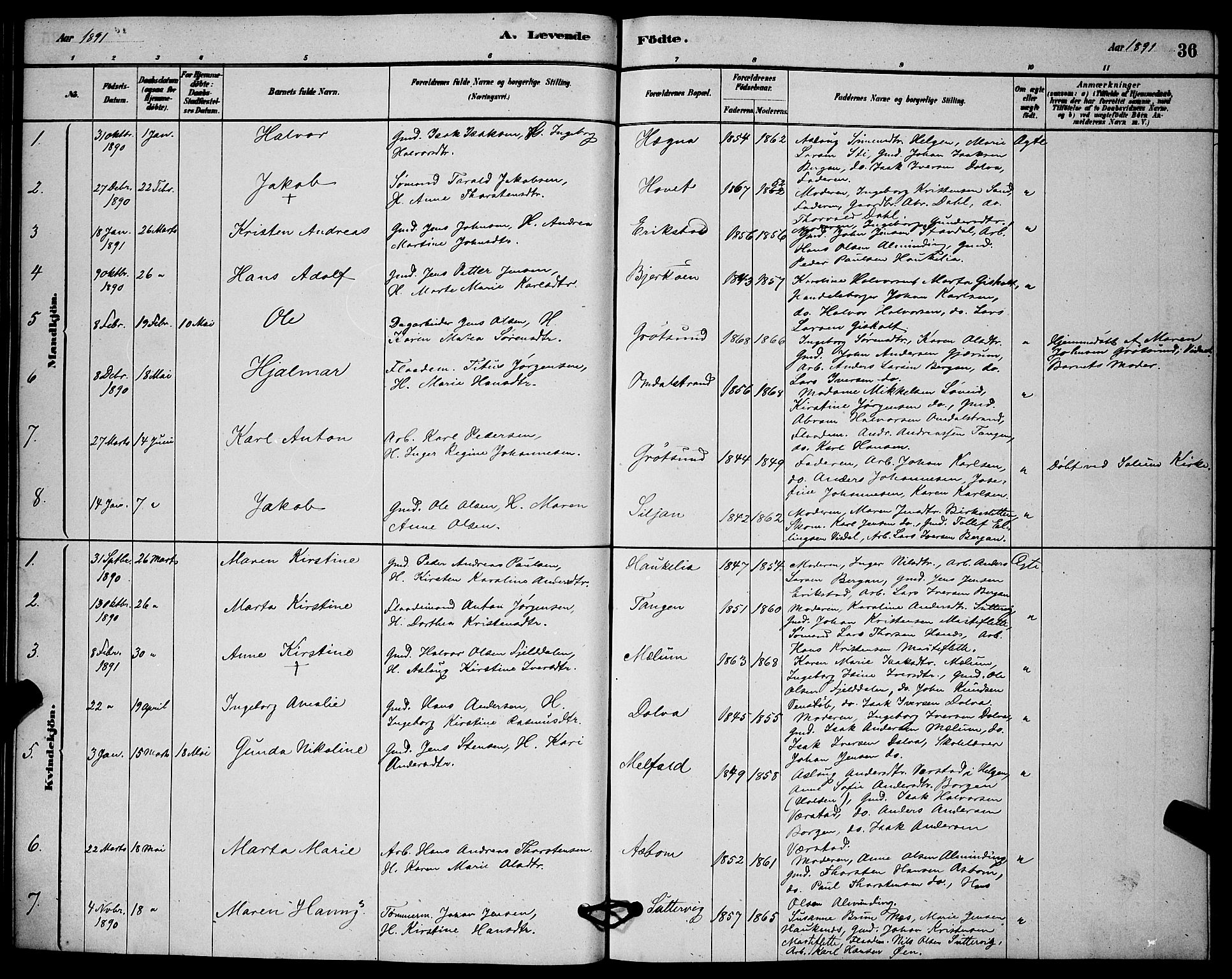 Solum kirkebøker, SAKO/A-306/G/Gb/L0003: Parish register (copy) no. II 3, 1880-1898, p. 36