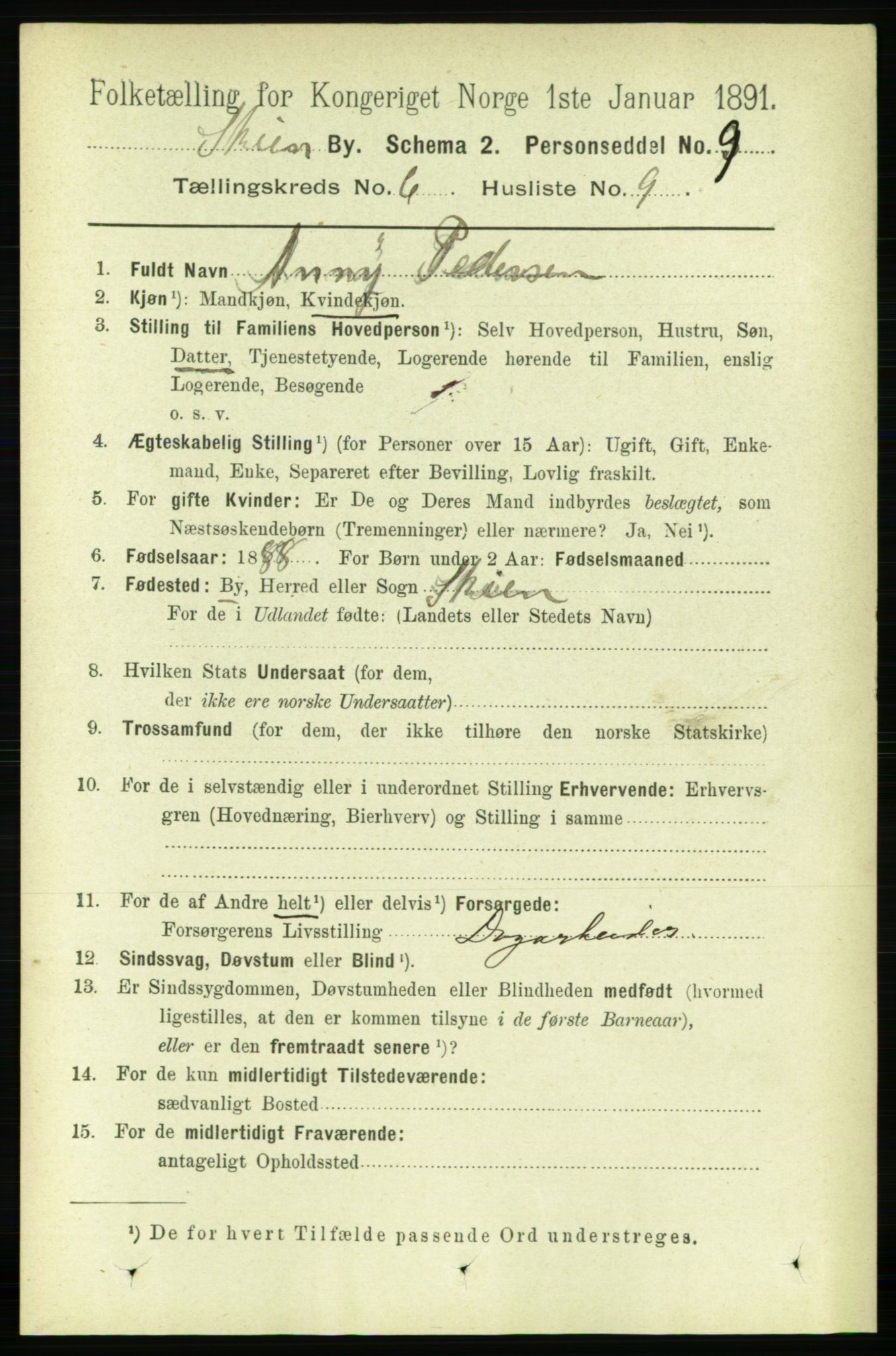 RA, 1891 census for 0806 Skien, 1891, p. 3081