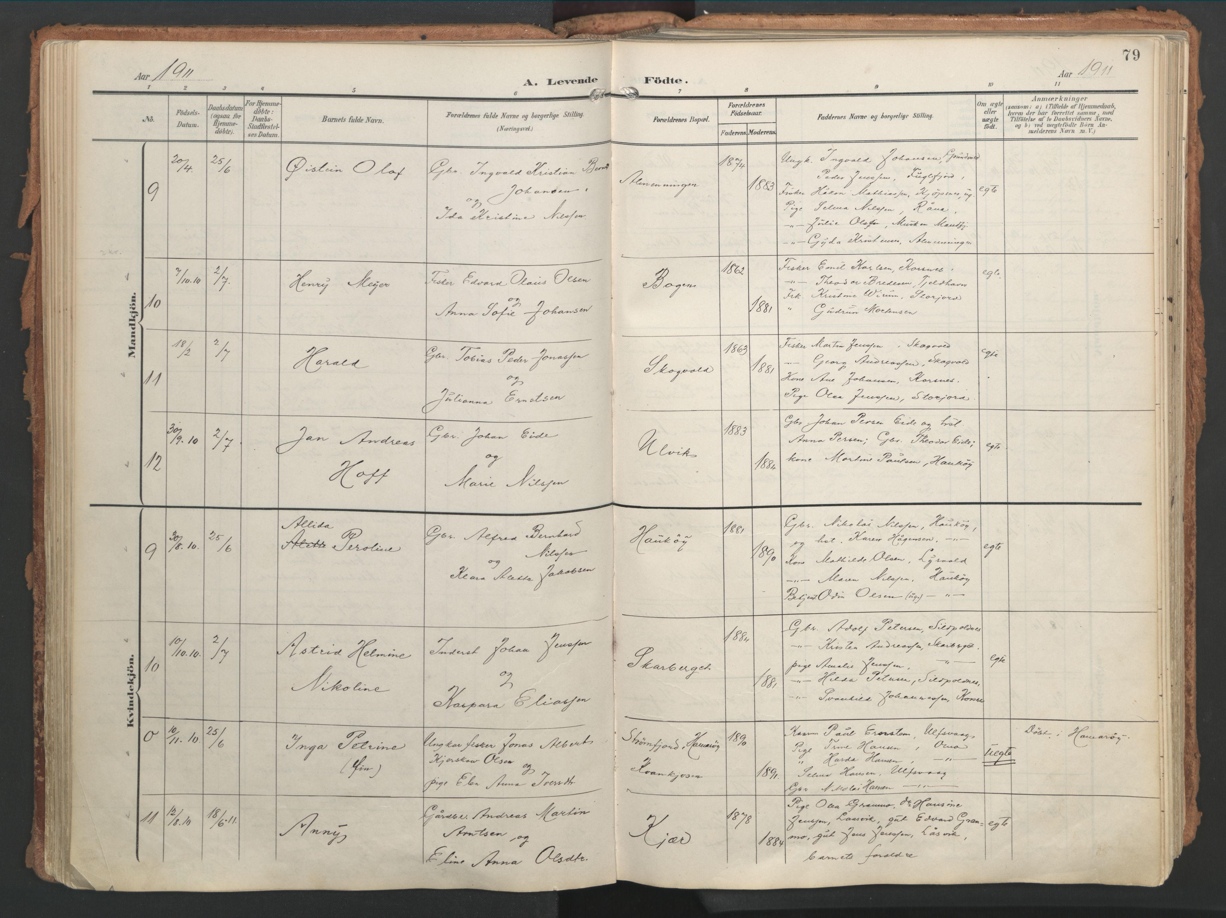 Ministerialprotokoller, klokkerbøker og fødselsregistre - Nordland, SAT/A-1459/861/L0871: Parish register (official) no. 861A06, 1903-1916, p. 79